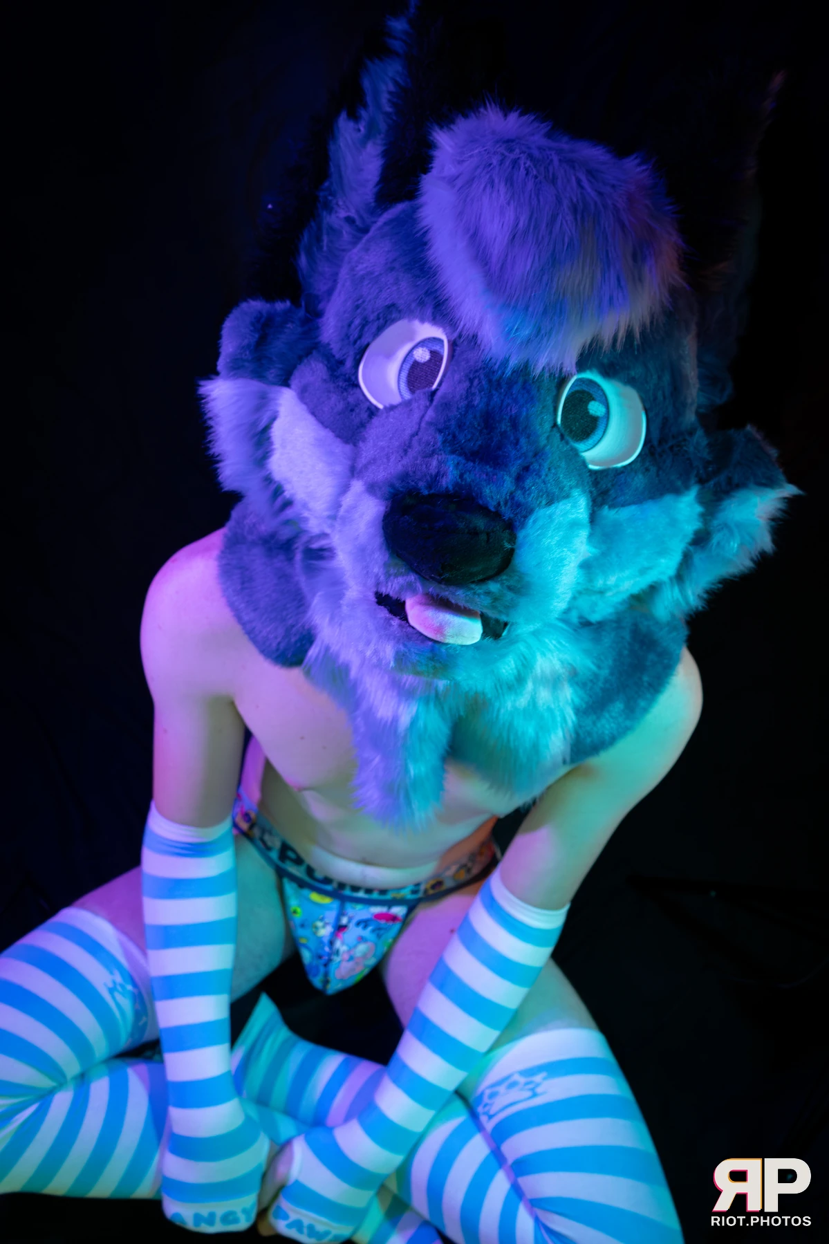 Zaff — furry & pup photography by Fluffy Riot — photo 41