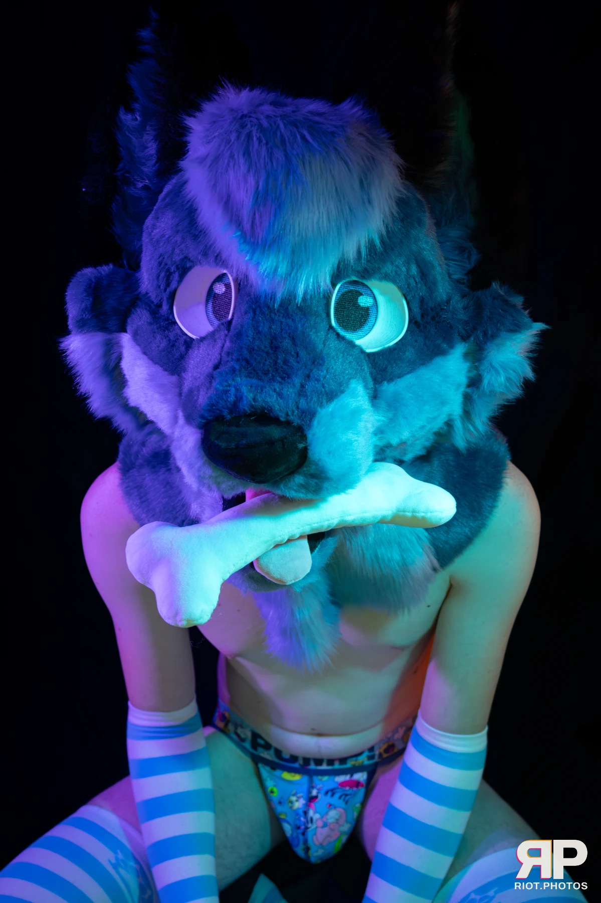 Zaff — furry & pup photography by Fluffy Riot — photo 42
