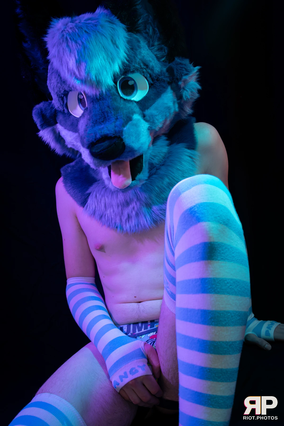 Zaff — furry & pup photography by Fluffy Riot — photo 45