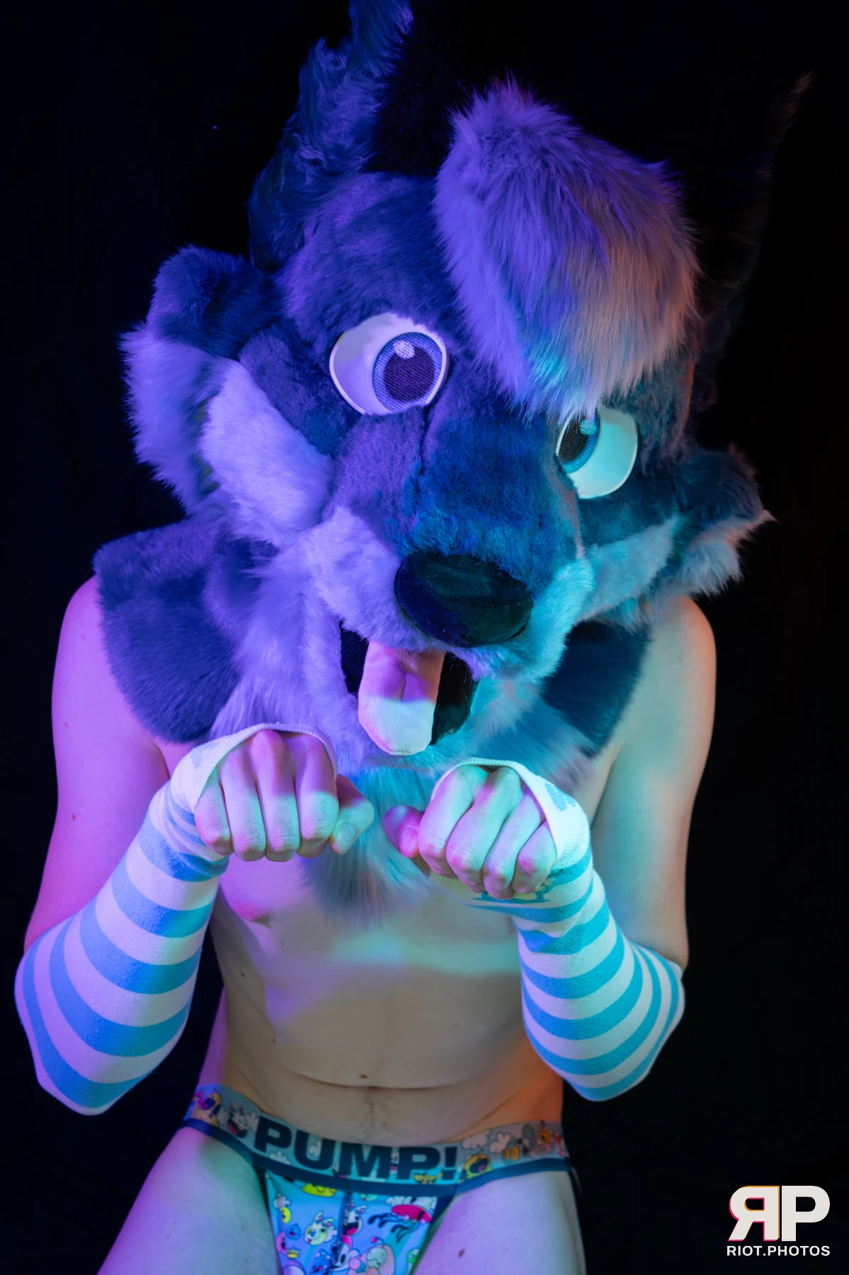 Zaff — furry & pup photography by Fluffy Riot — photo 46