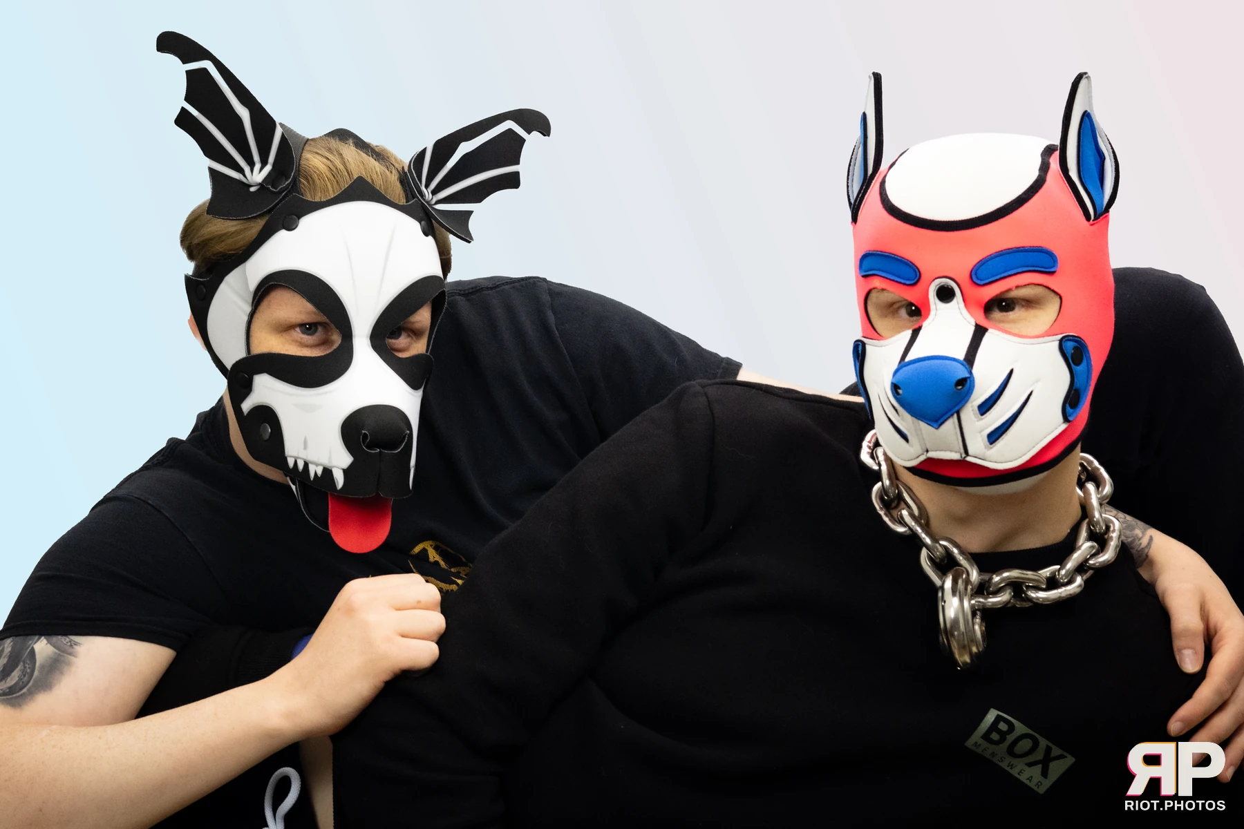 Cynical Pup — furry & pup photography by Fluffy Riot — photo 19