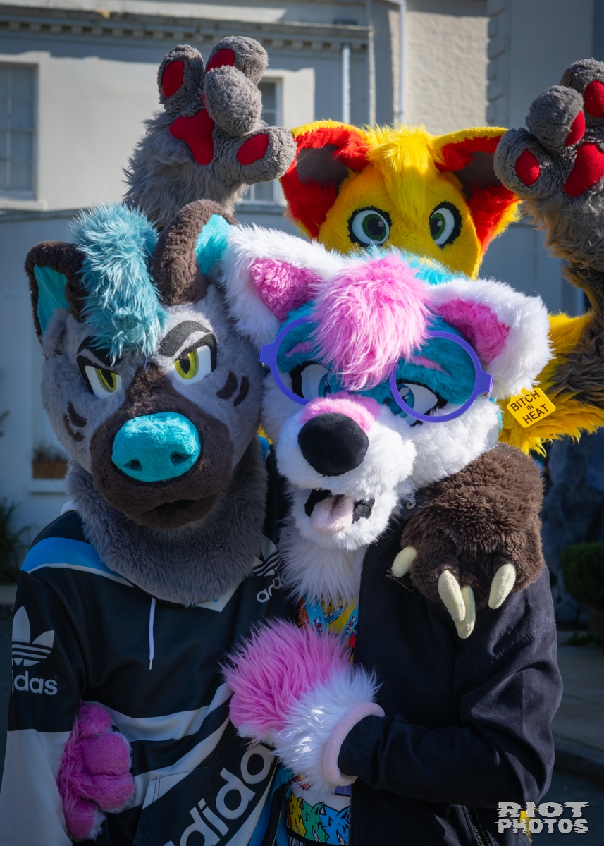 2024-11-17 Pawsome-001.jpg