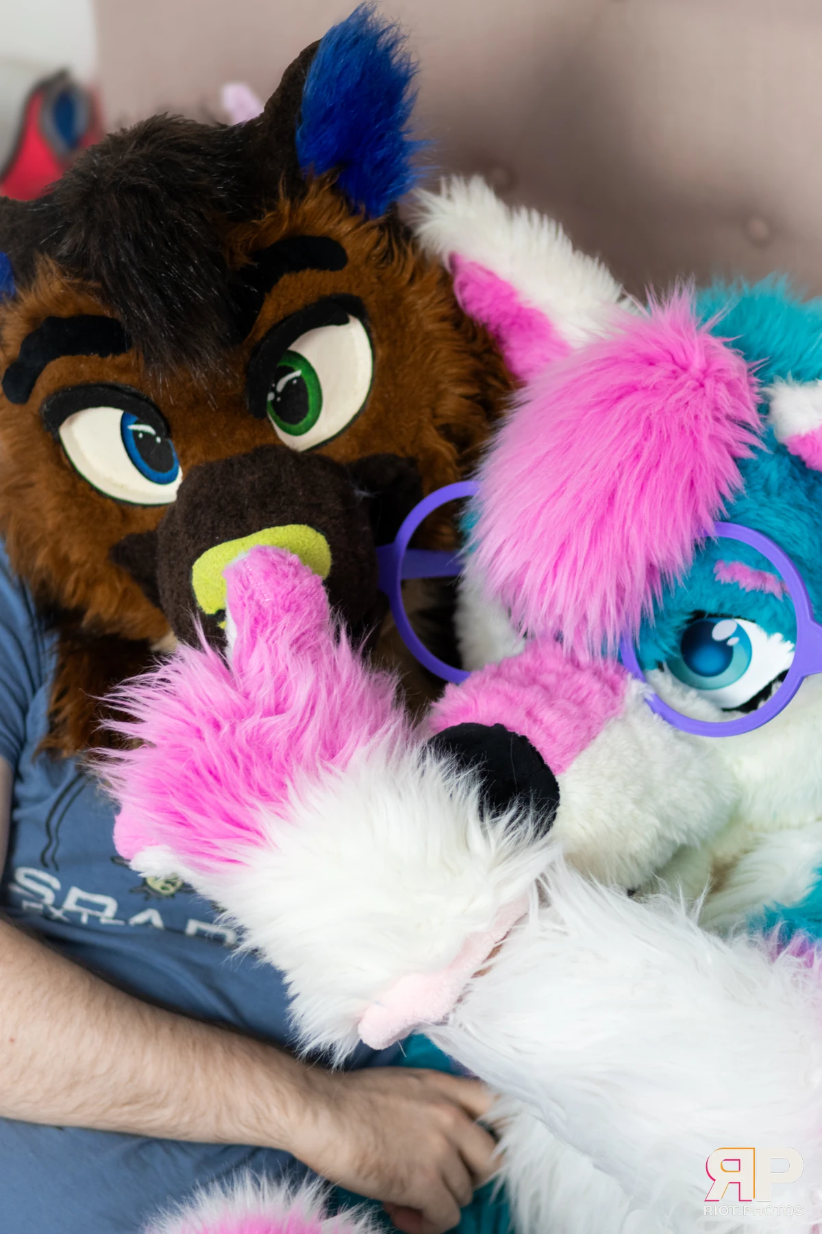 Pup Kaz — furry & pup photography by Fluffy Riot — photo 552