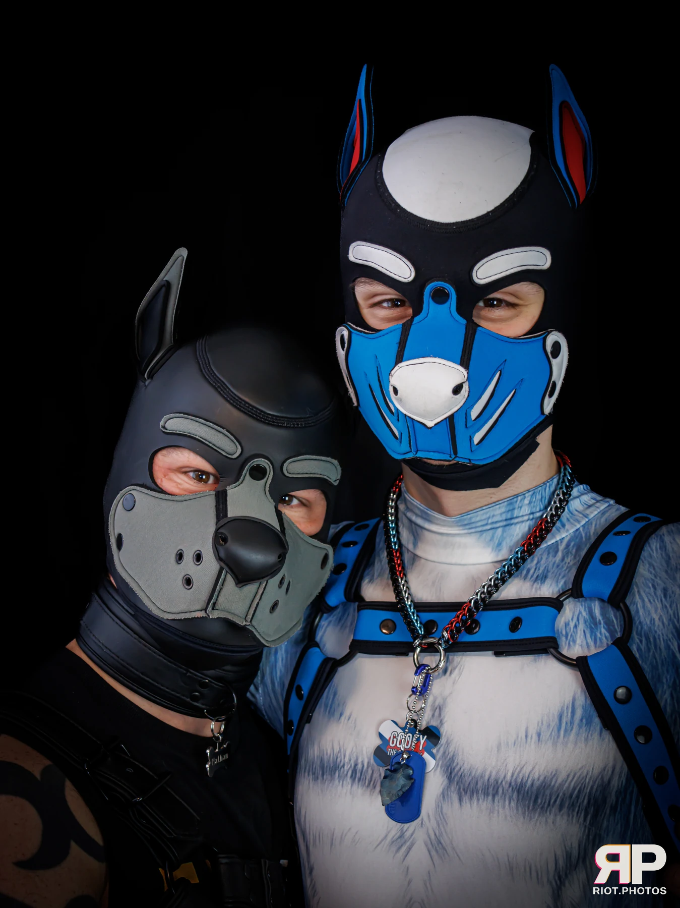 Pup Nathan — furry & pup photography by Fluffy Riot — photo 185