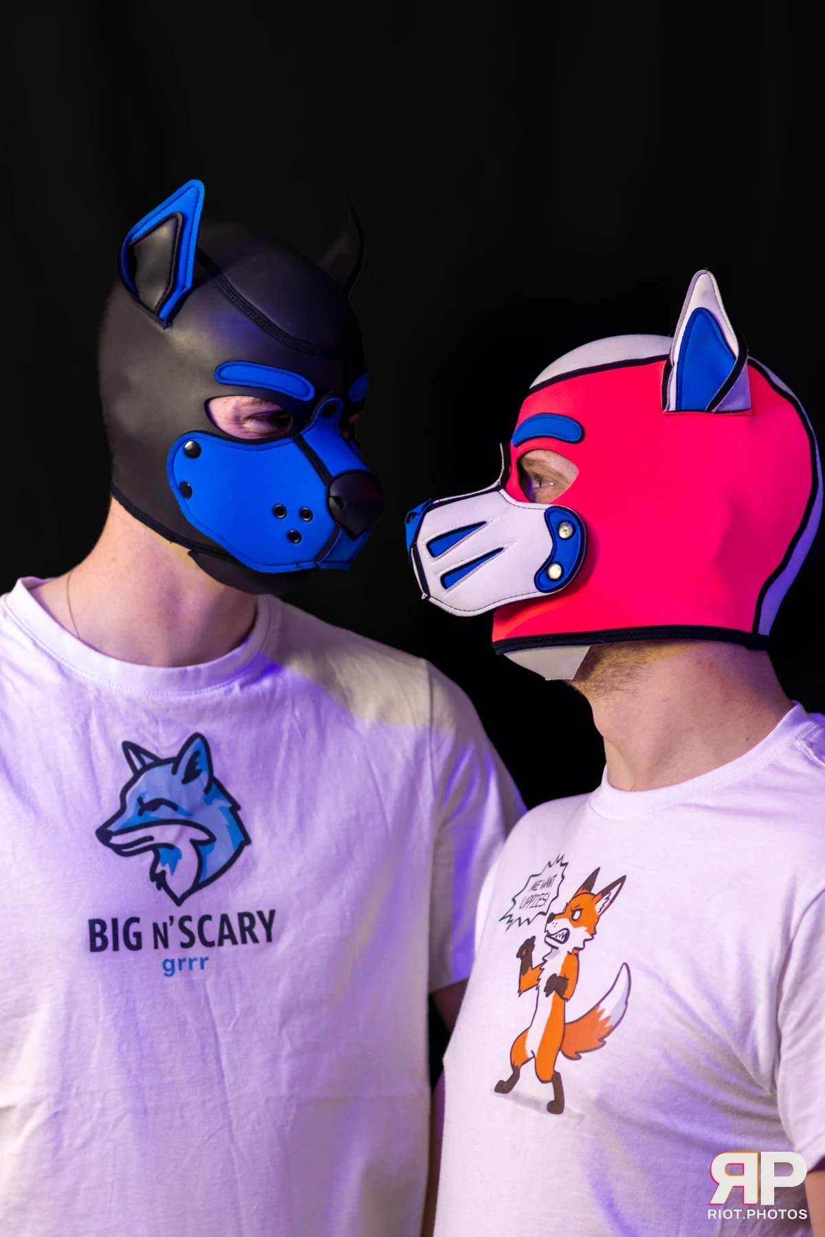 Zaff — furry & pup photography by Fluffy Riot — photo 125