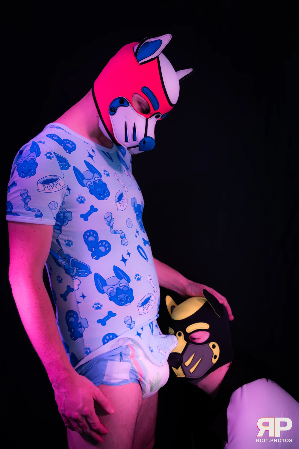 Artie — furry & pup photography by Fluffy Riot — photo 75