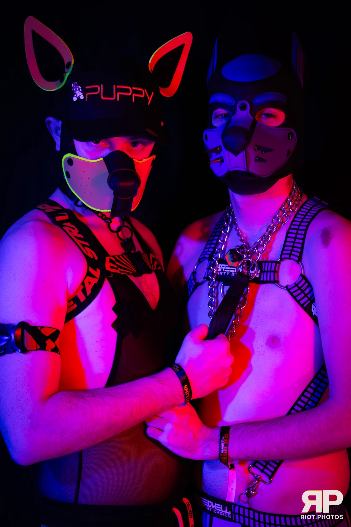 Alex Apollo — furry & pup photography by Fluffy Riot — photo 32