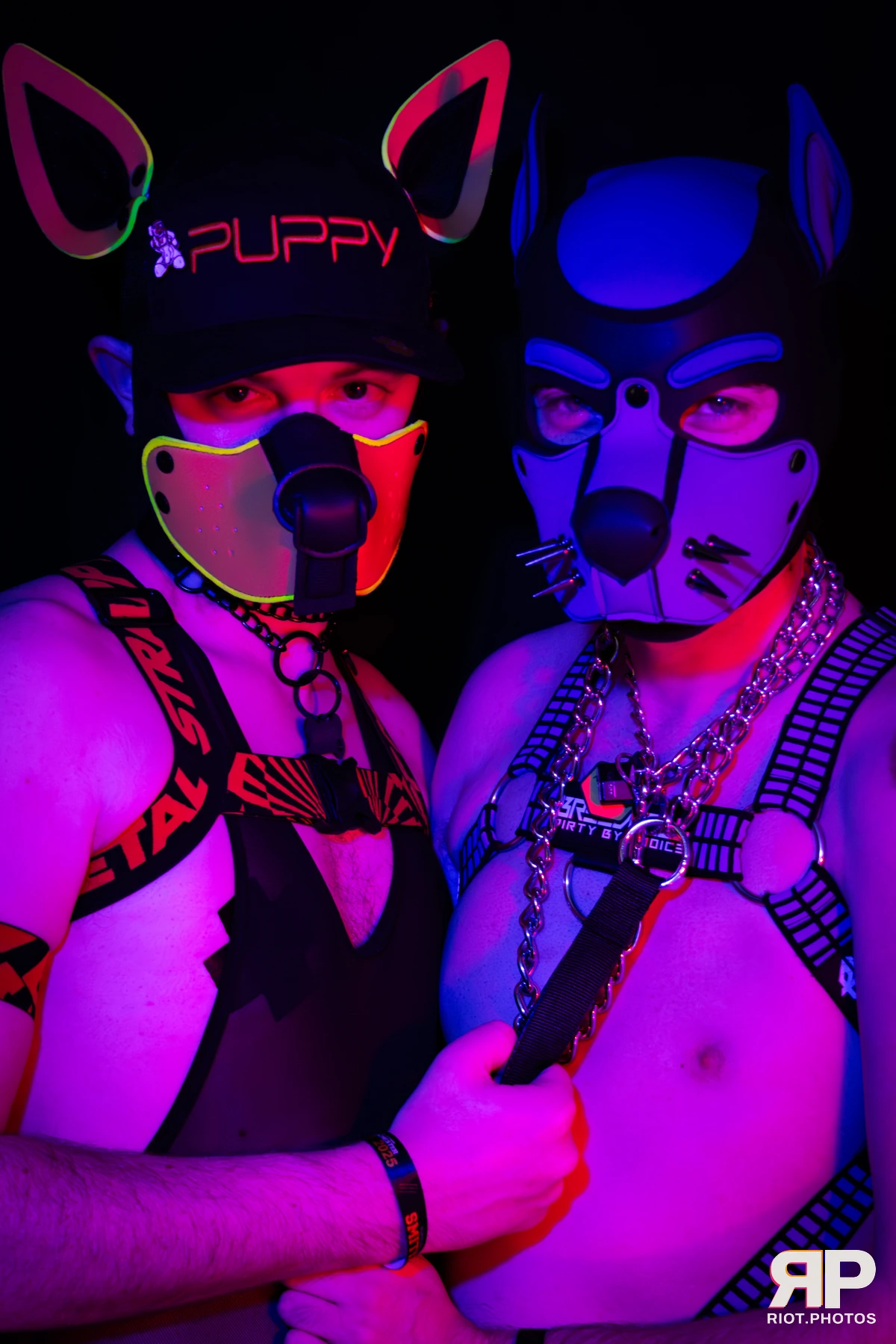 Alex Apollo — furry & pup photography by Fluffy Riot — photo 29