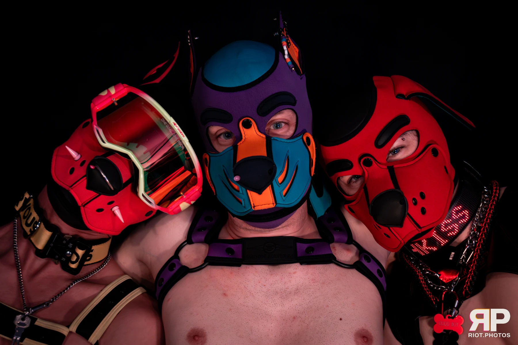 Puppy Pluto — furry & pup photography by Fluffy Riot — photo 29