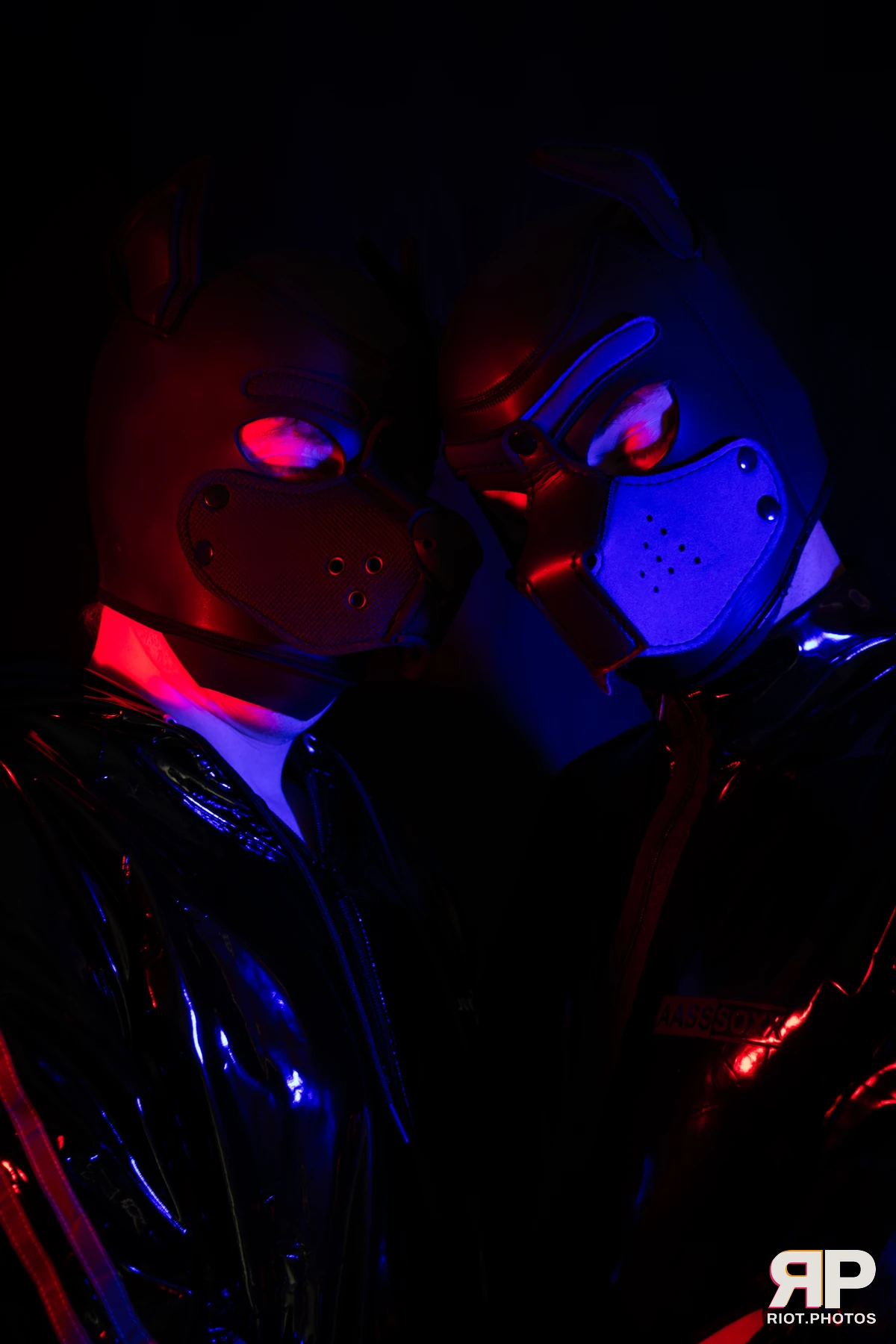 Pup Abraxis — furry & pup photography by Fluffy Riot — photo 17