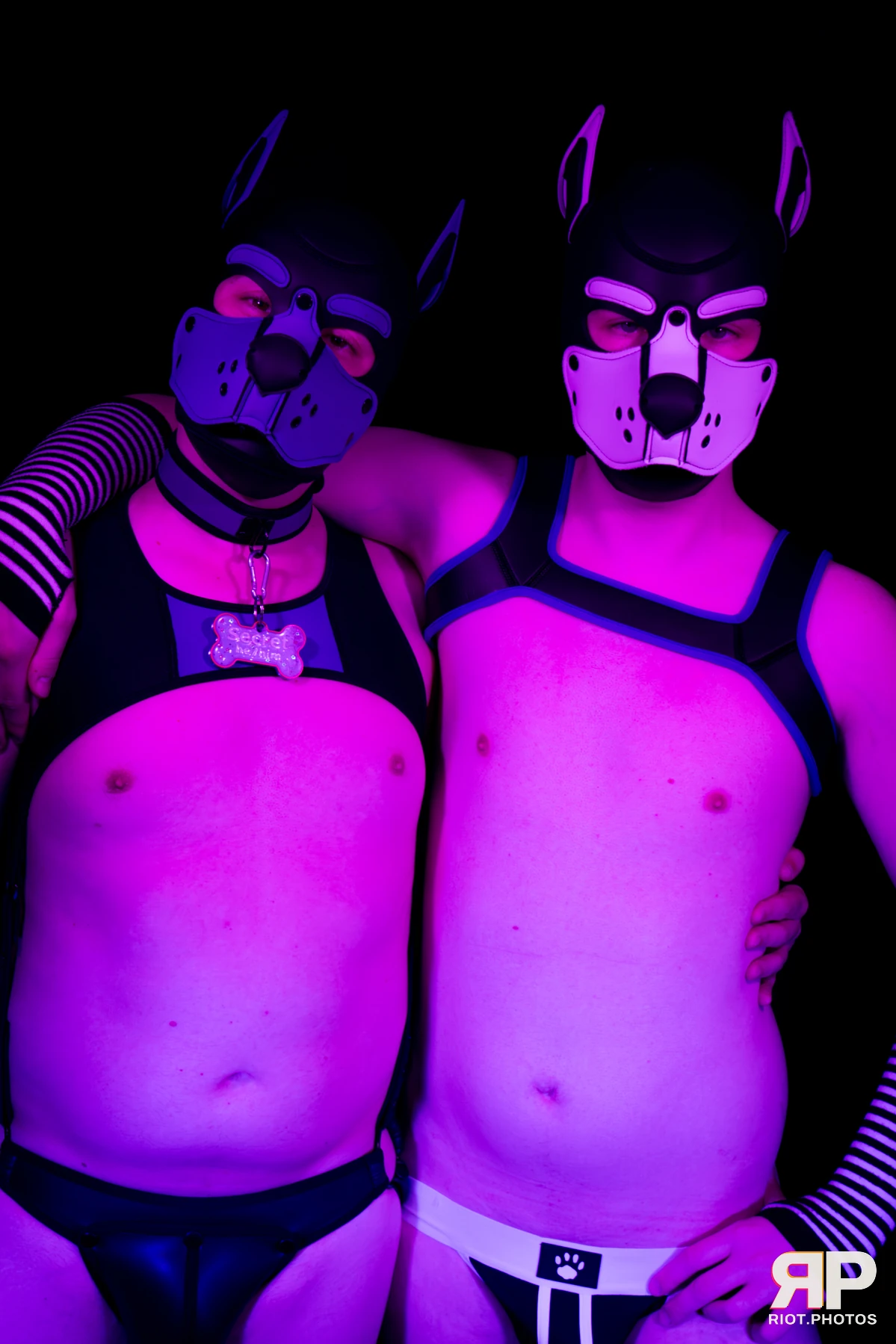 Pup Secret — furry & pup photography by Fluffy Riot — photo 34