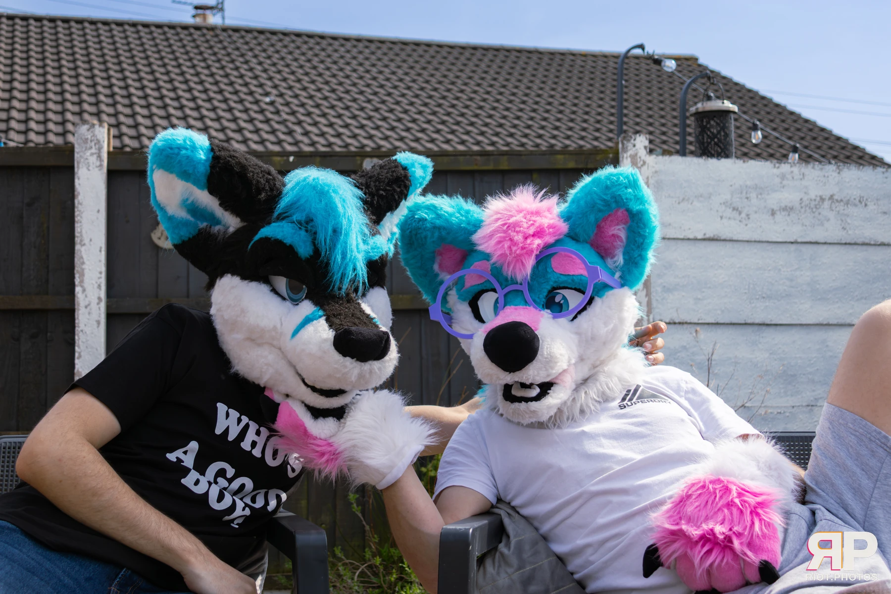 Shade — furry & pup photography by Fluffy Riot — photo 29