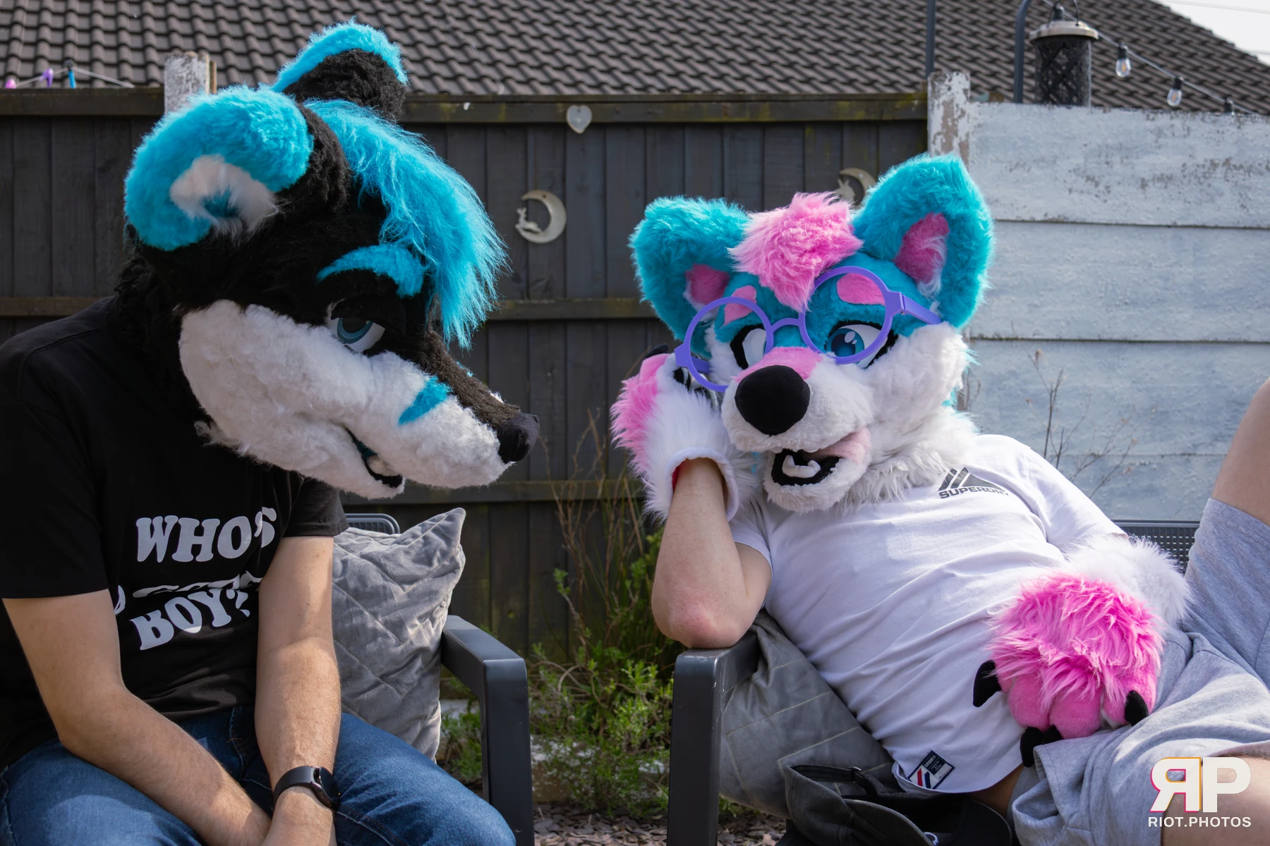 Shade — furry & pup photography by Fluffy Riot — photo 28