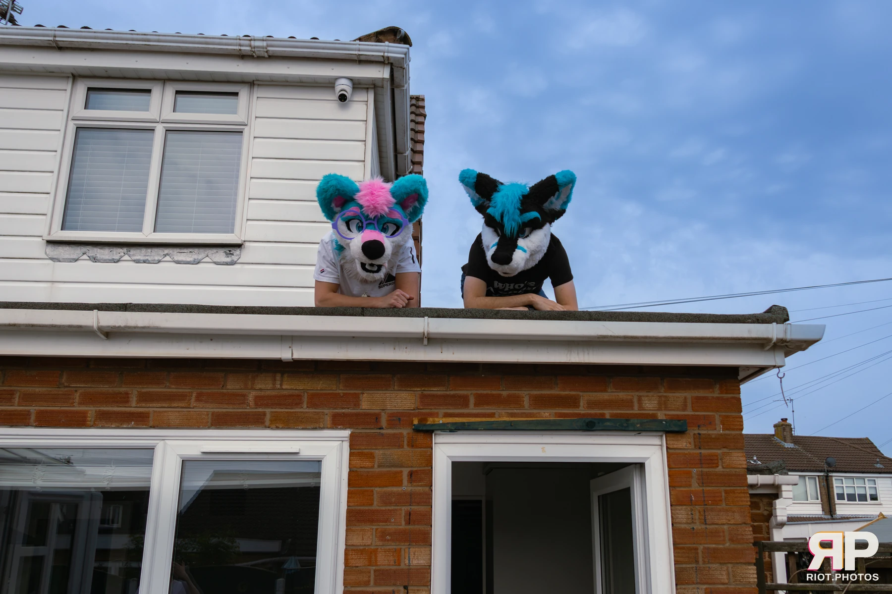 Shade — furry & pup photography by Fluffy Riot — photo 27