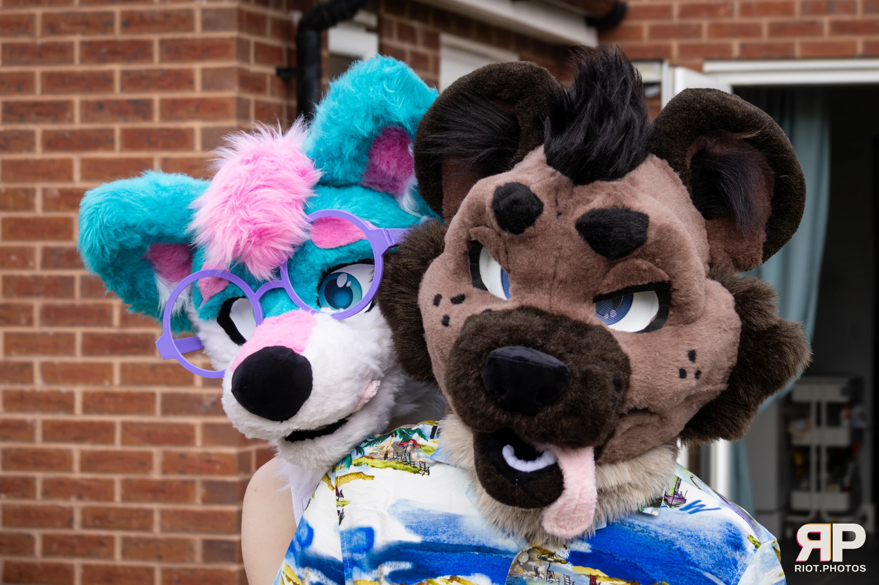 Pup Kaz — furry & pup photography by Fluffy Riot — photo 125