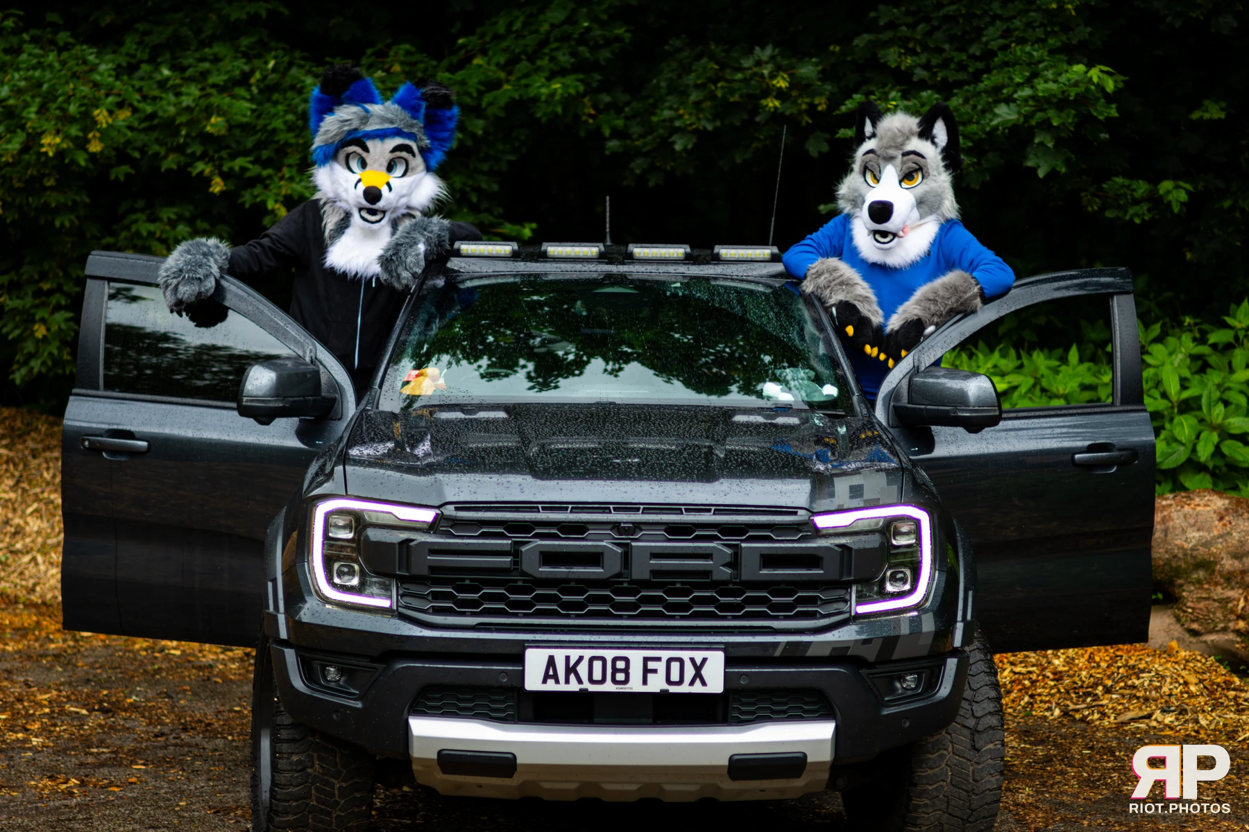 Ash Wuff — furry & pup photography by Fluffy Riot — photo 15