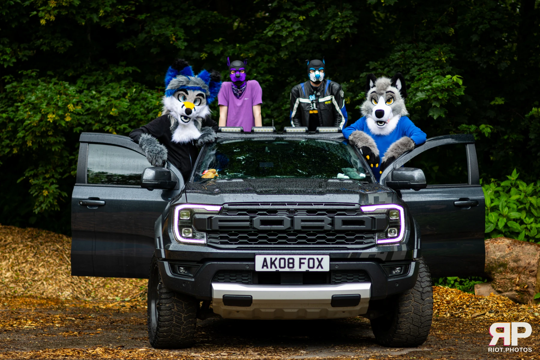 Mosaic Fox — furry & pup photography by Fluffy Riot — photo 16