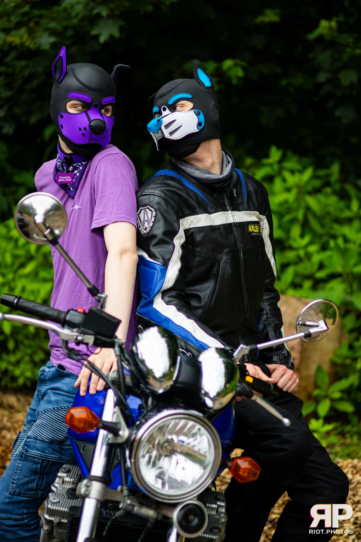Mosaic Fox — furry & pup photography by Fluffy Riot — photo 19