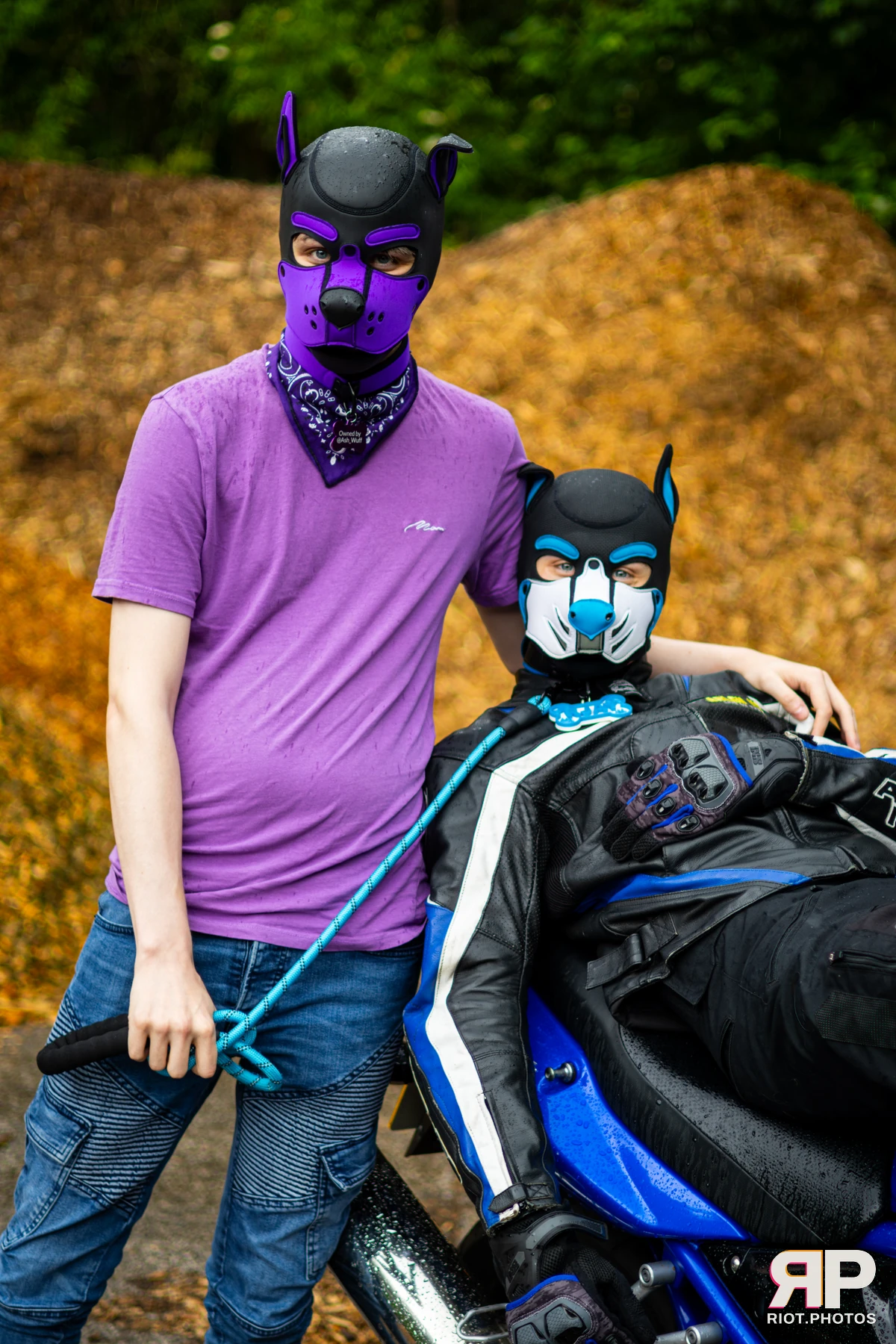 Mosaic Fox — furry & pup photography by Fluffy Riot — photo 18