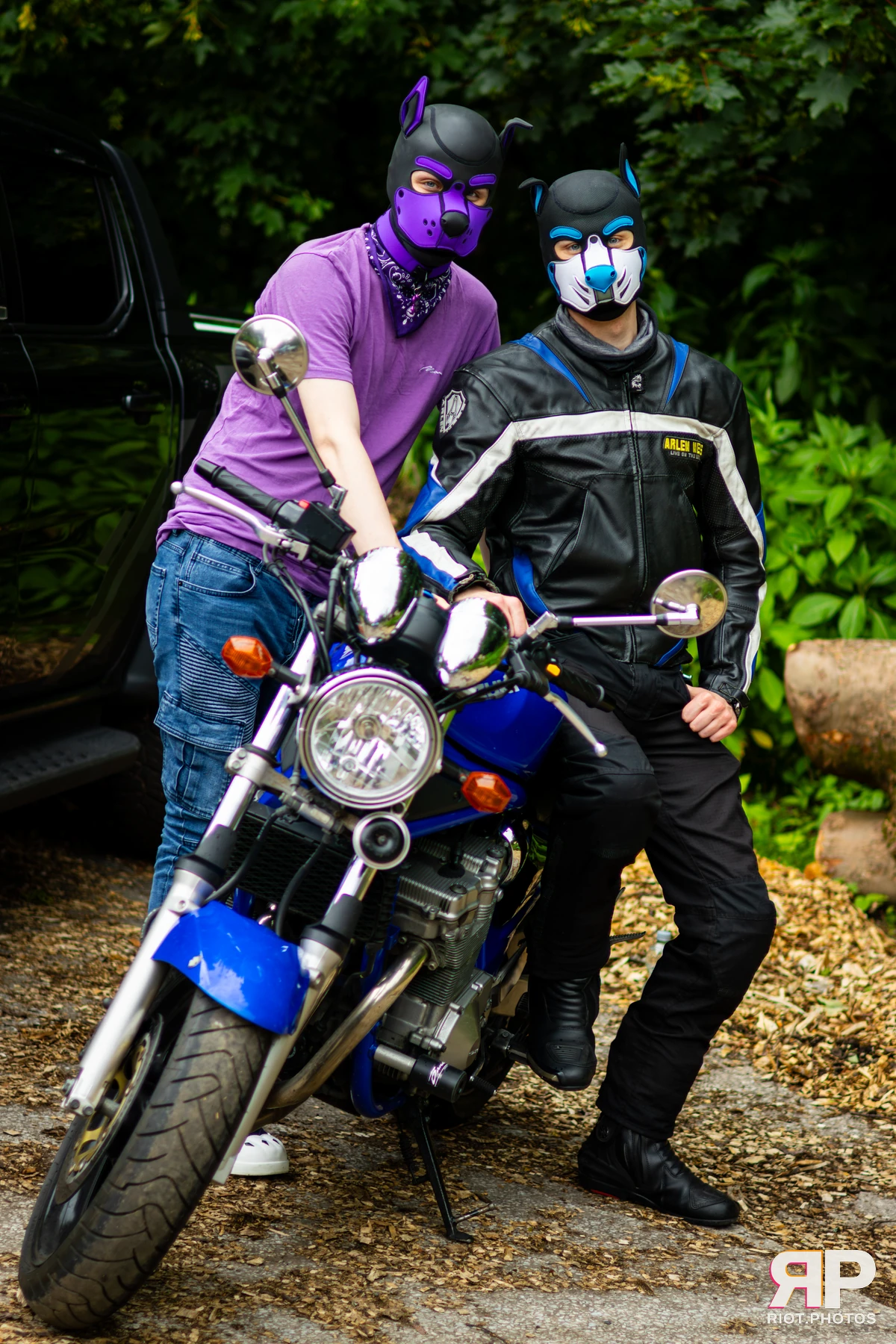 Mosaic Fox — furry & pup photography by Fluffy Riot — photo 22
