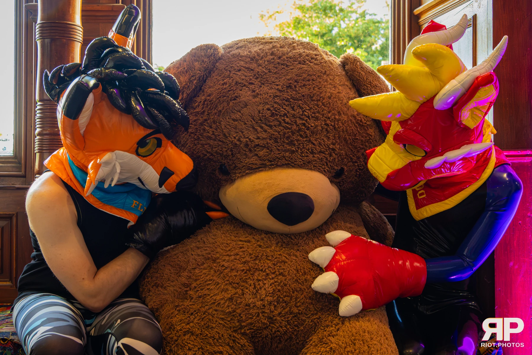 Sudo - furry & pup photography by Fluffy Riot - photo 34