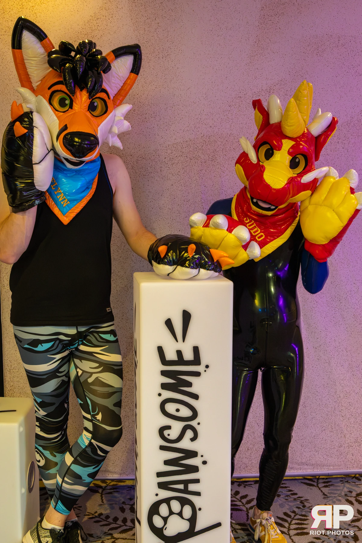 Sudo - furry & pup photography by Fluffy Riot - photo 33