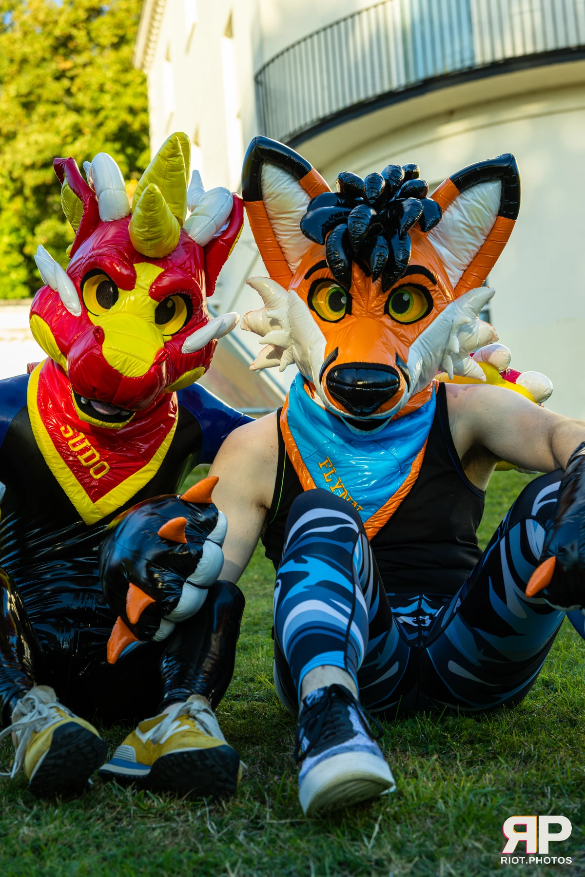 Sudo - furry & pup photography by Fluffy Riot - photo 30