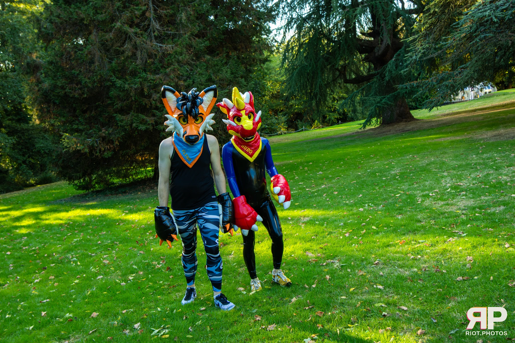 Sudo - furry & pup photography by Fluffy Riot - photo 24