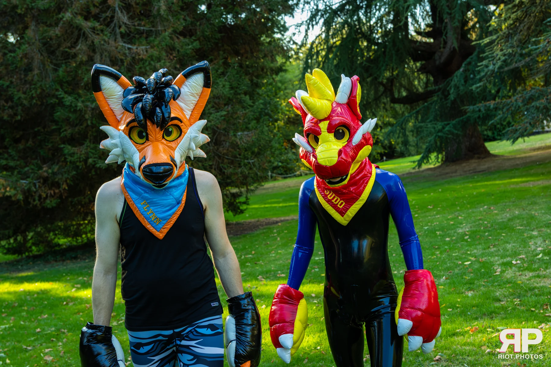 Sudo - furry & pup photography by Fluffy Riot - photo 23