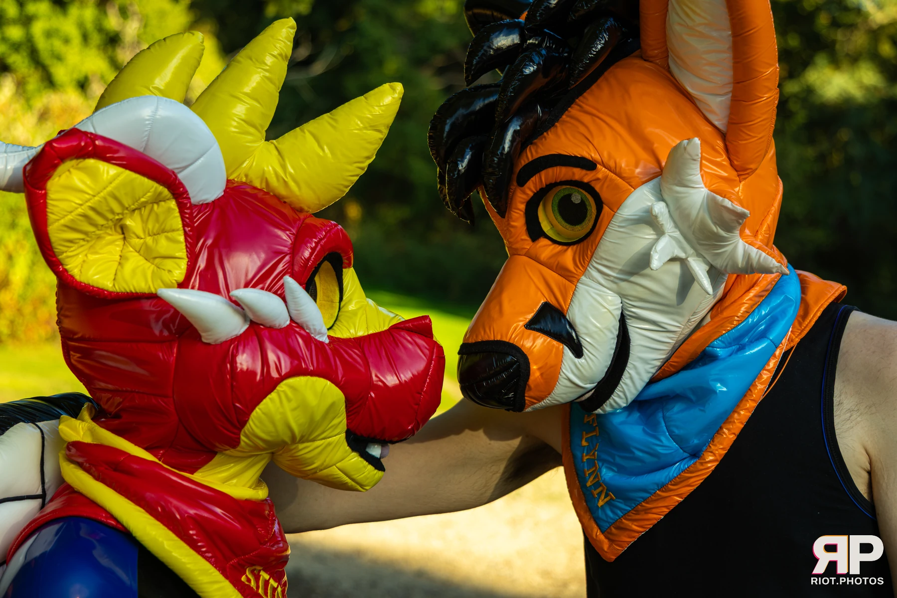 Sudo - furry & pup photography by Fluffy Riot - photo 17