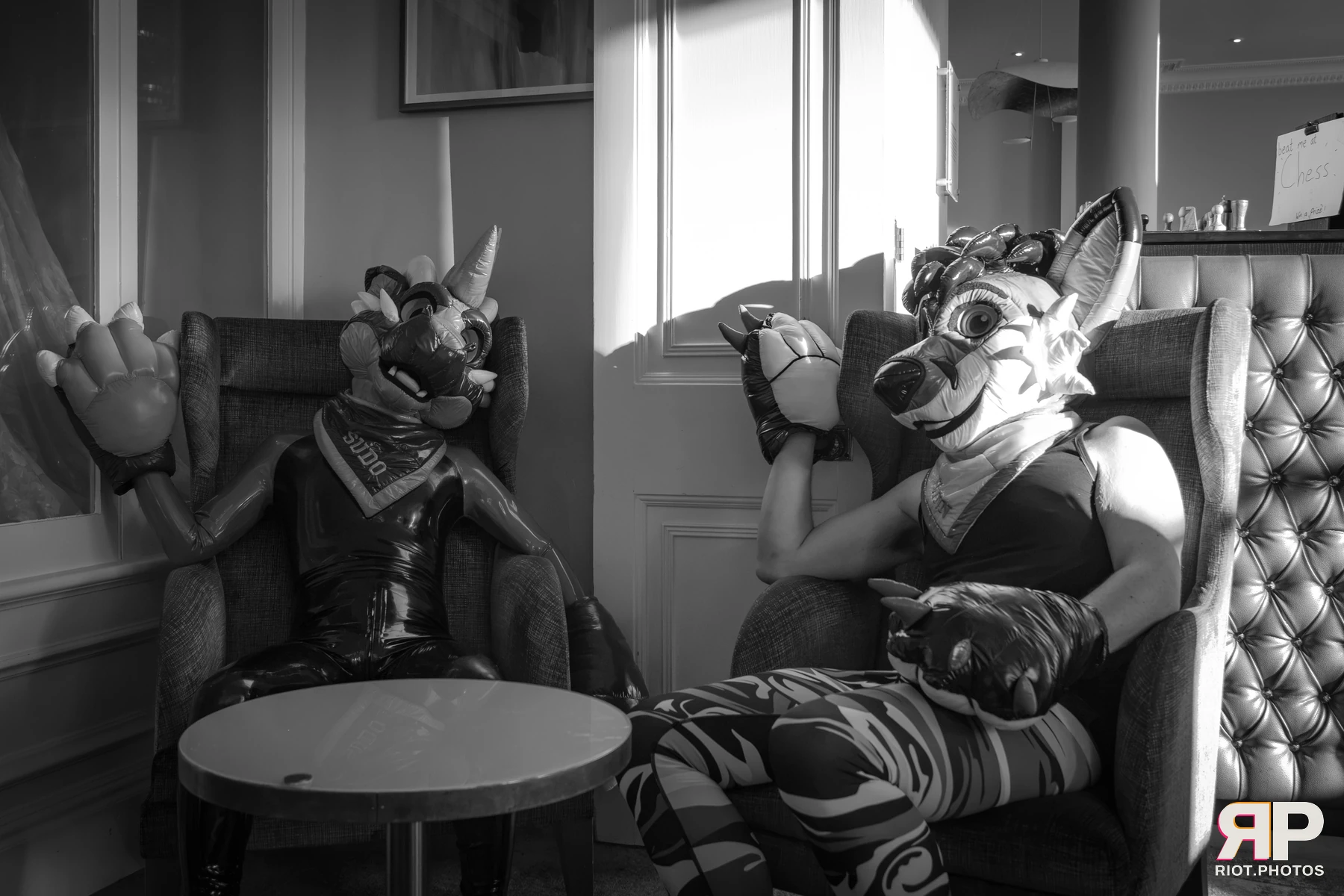 Sudo - furry & pup photography by Fluffy Riot - photo 14