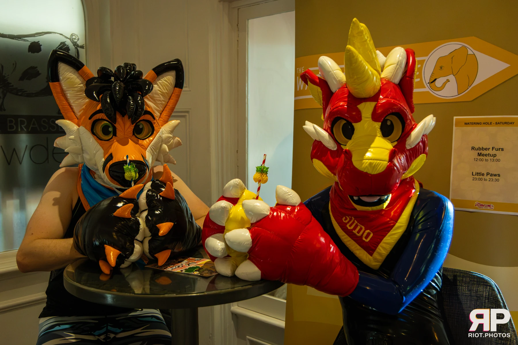 Sudo - furry & pup photography by Fluffy Riot - photo 13