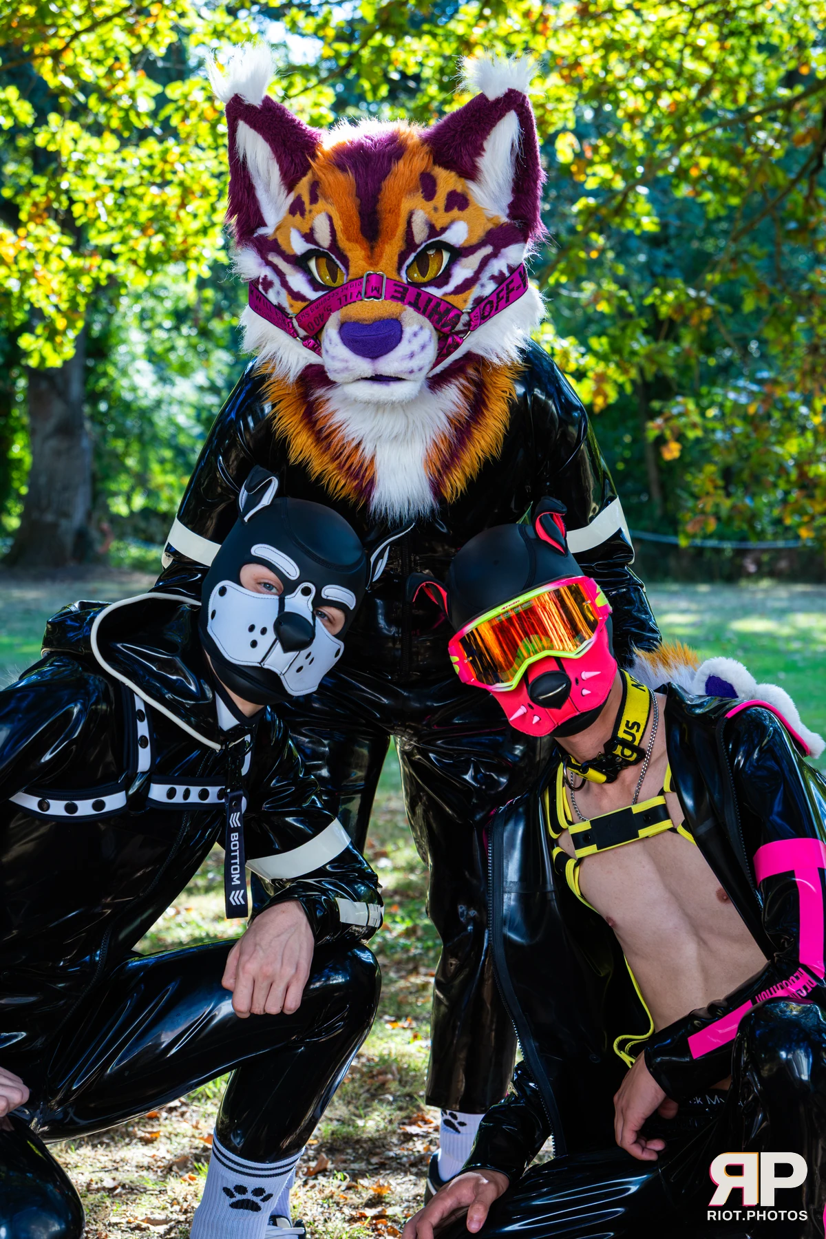 Ryker - furry & pup photography by Fluffy Riot - photo 45