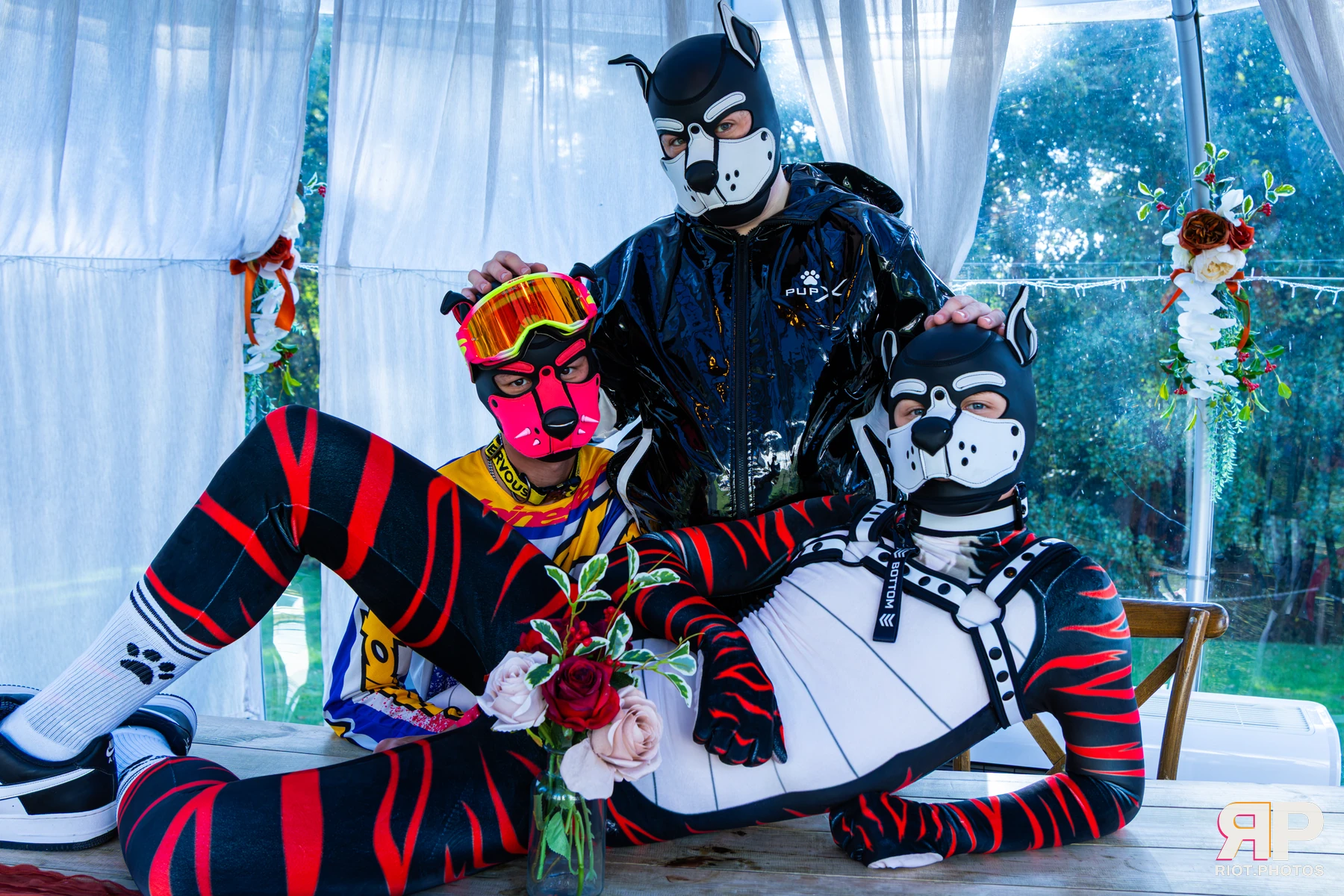 Ryker - furry & pup photography by Fluffy Riot - photo 43