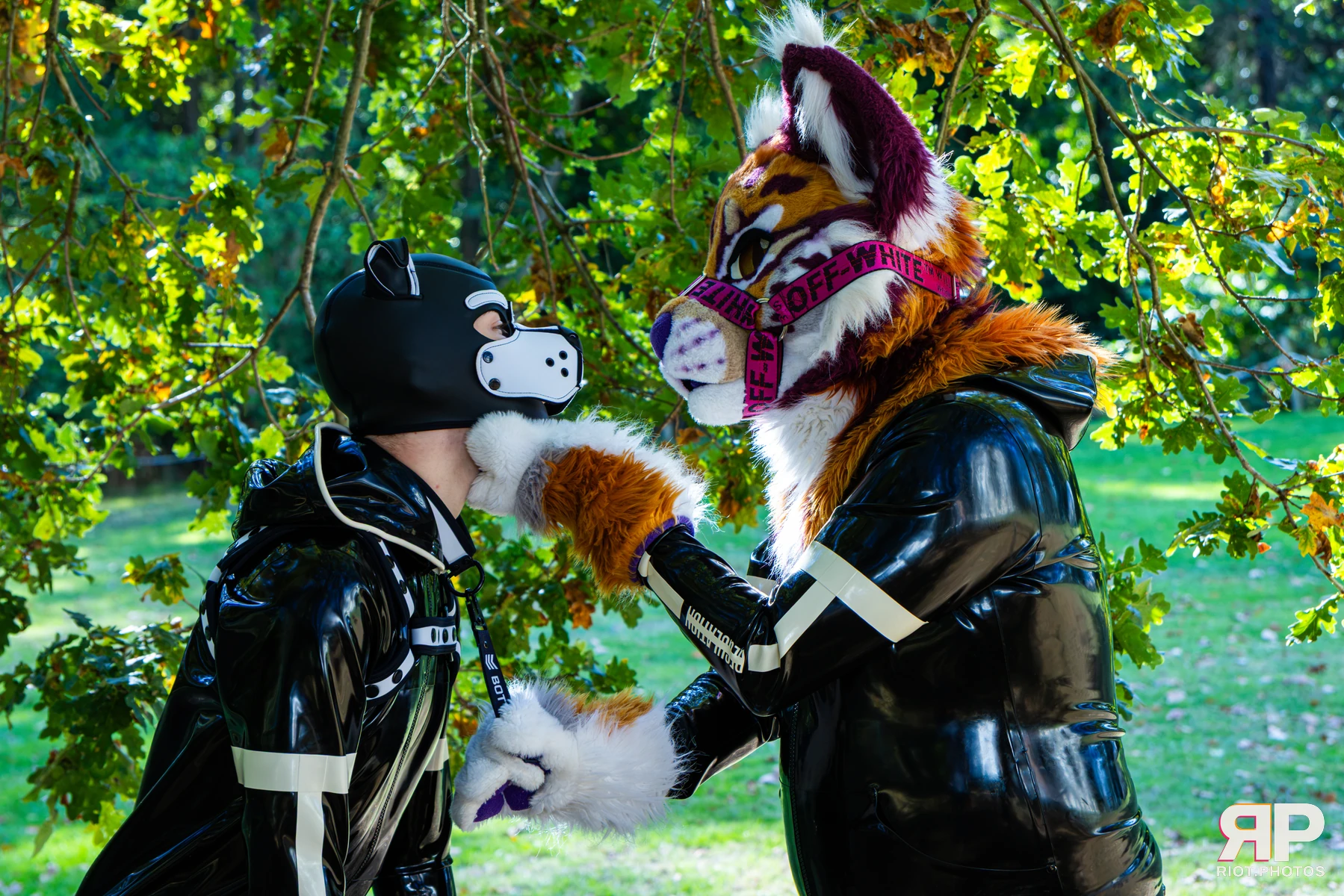 Ryker - furry & pup photography by Fluffy Riot - photo 73