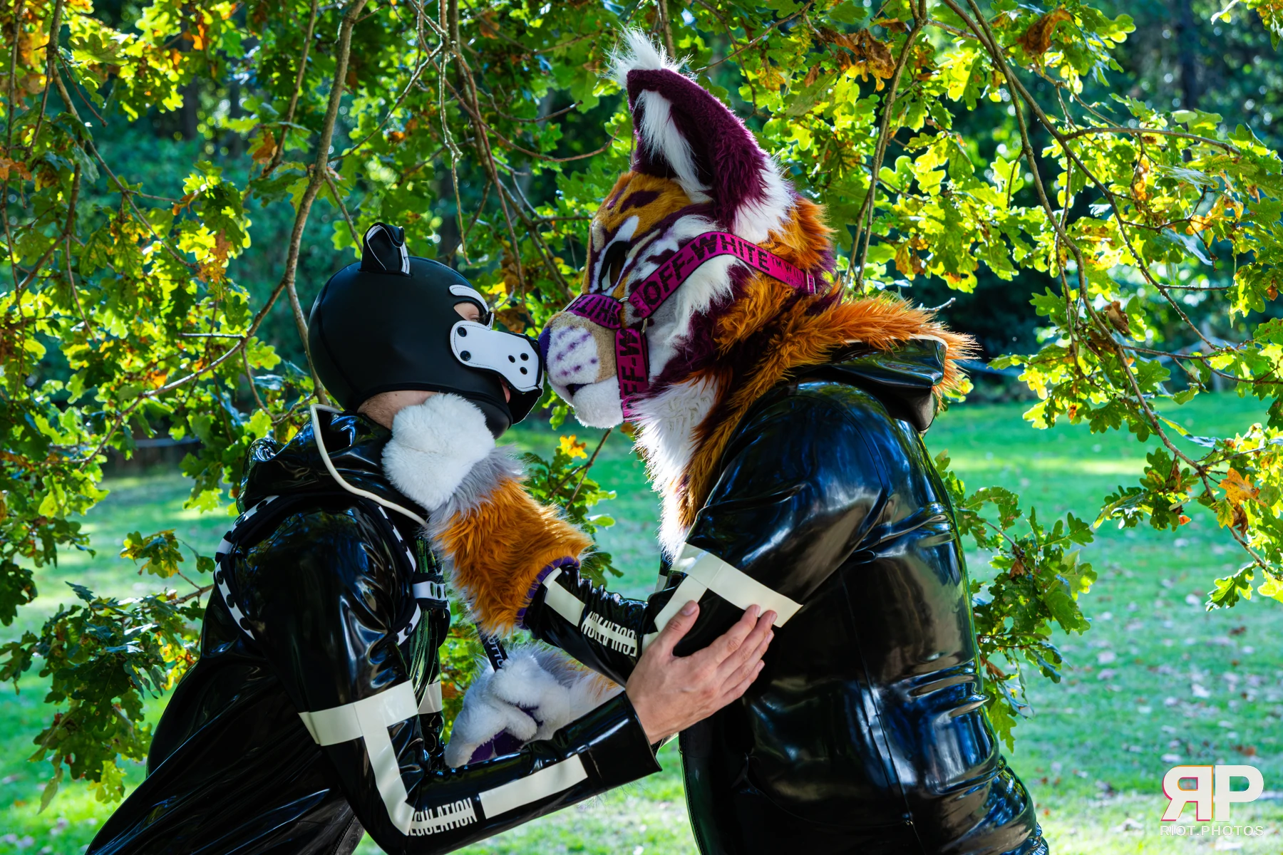 Ryker - furry & pup photography by Fluffy Riot - photo 72