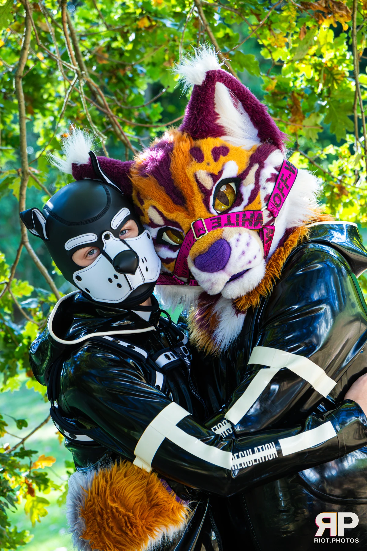 Ryker - furry & pup photography by Fluffy Riot - photo 70