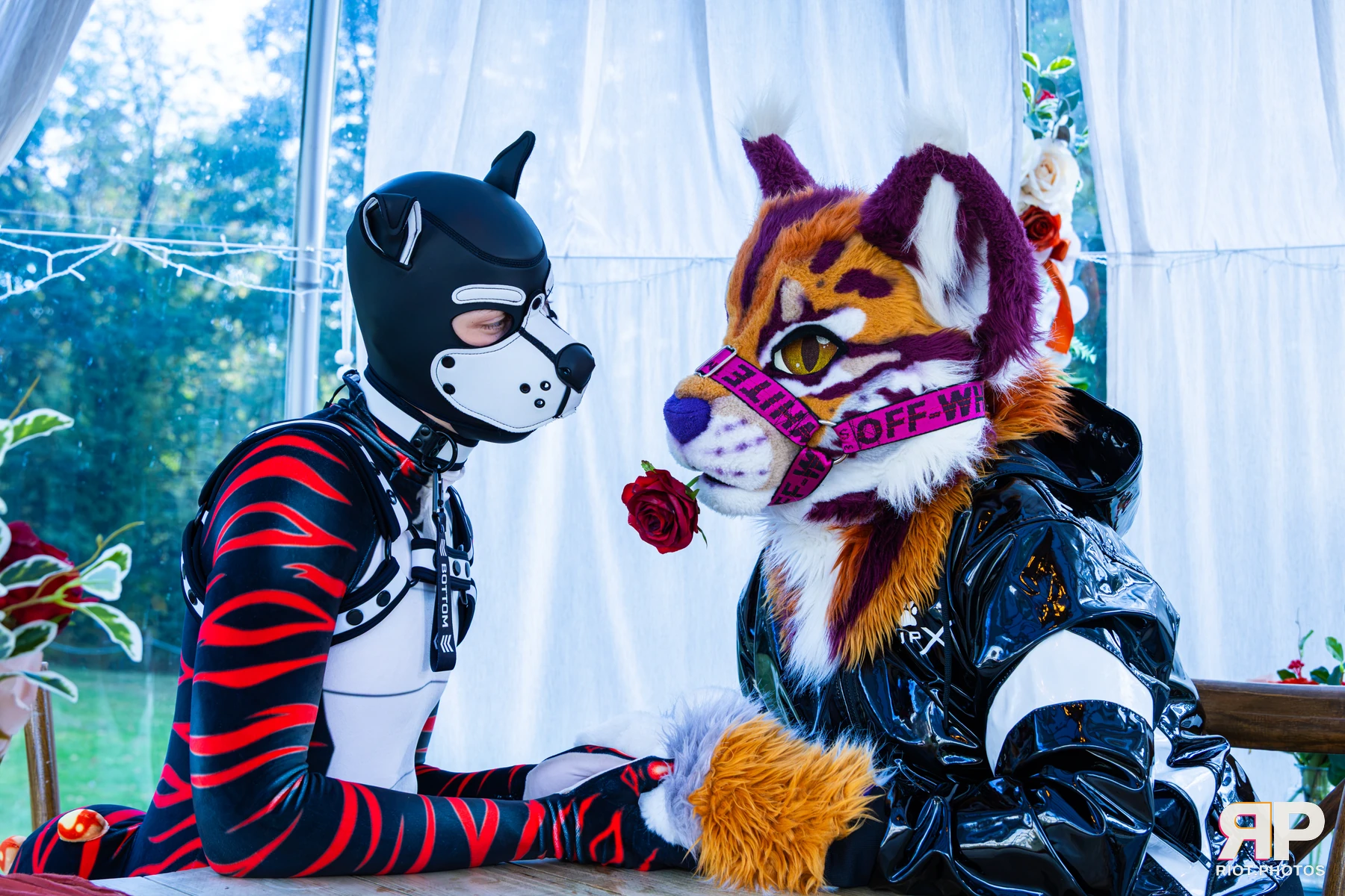 Ryker - furry & pup photography by Fluffy Riot - photo 63