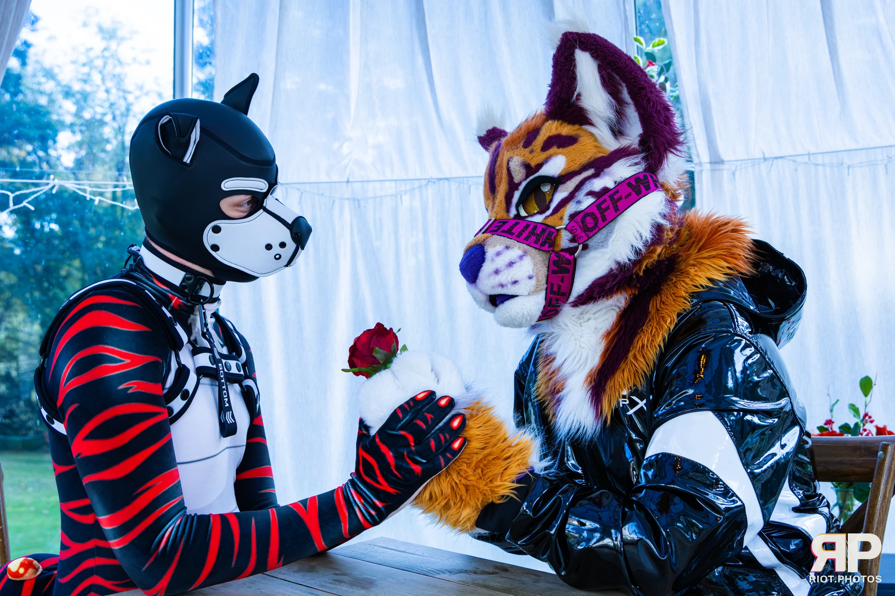 Ryker - furry & pup photography by Fluffy Riot - photo 62