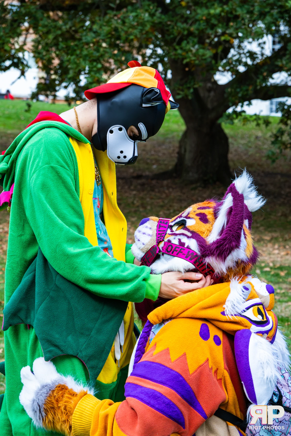 Ryker - furry & pup photography by Fluffy Riot - photo 55