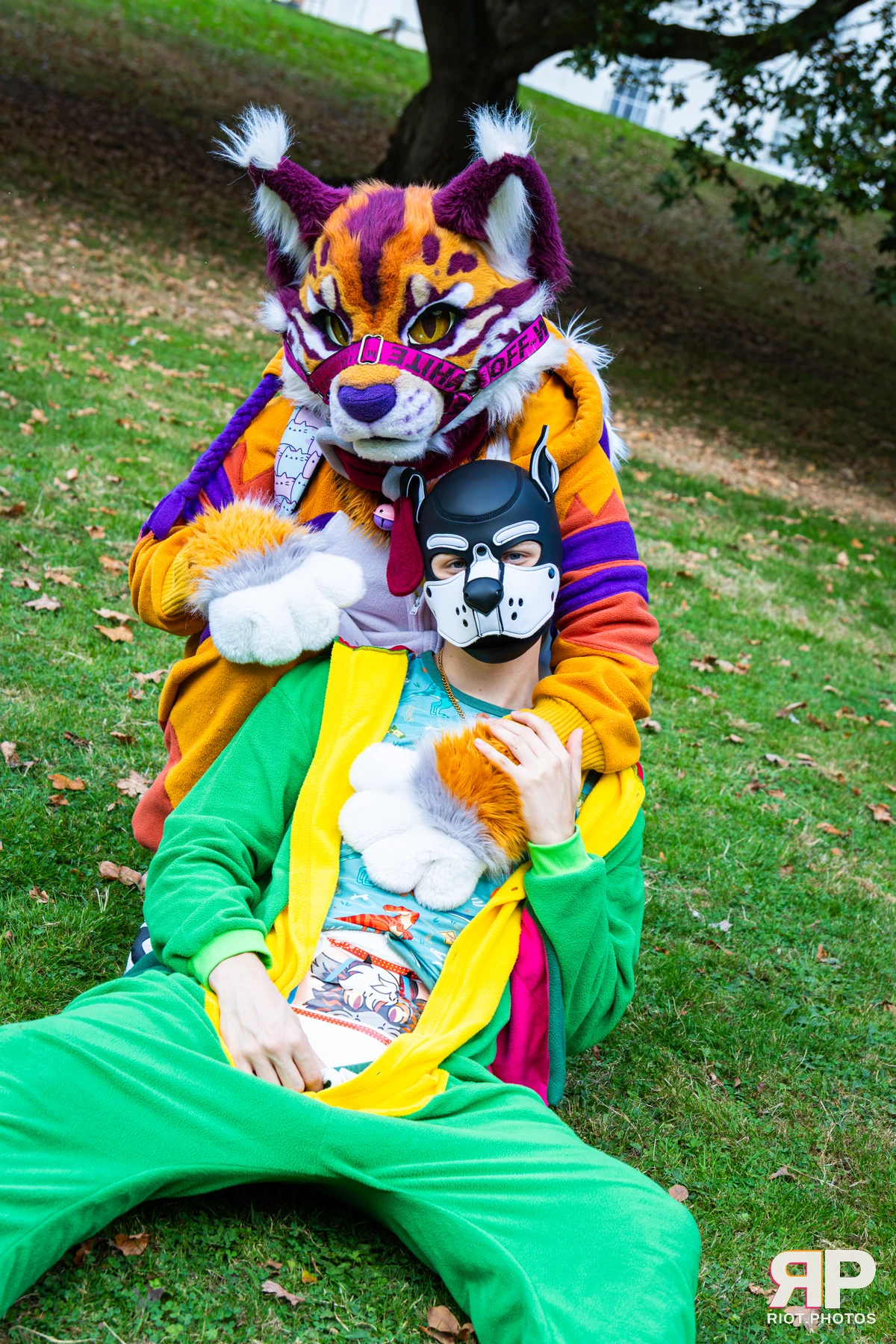 Ryker - furry & pup photography by Fluffy Riot - photo 53
