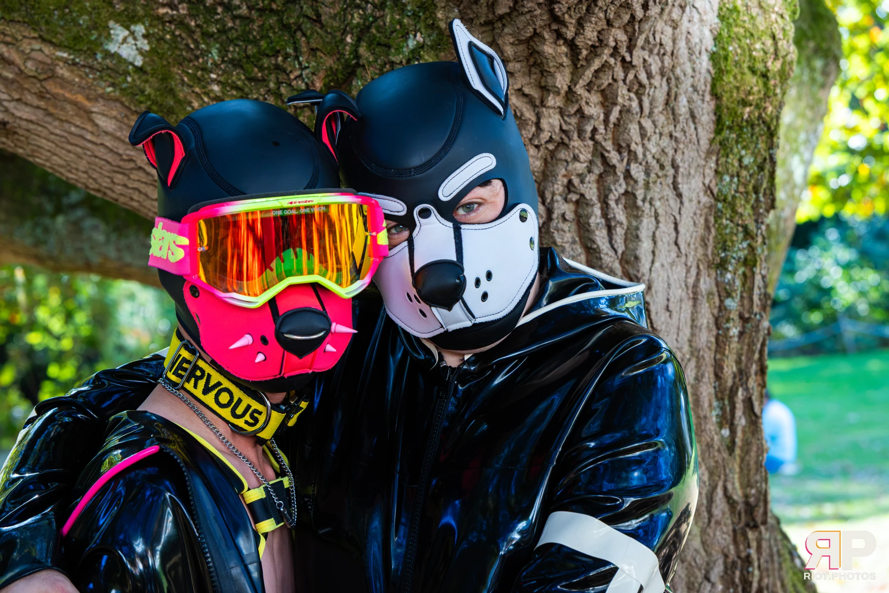 Ryker - furry & pup photography by Fluffy Riot - photo 38