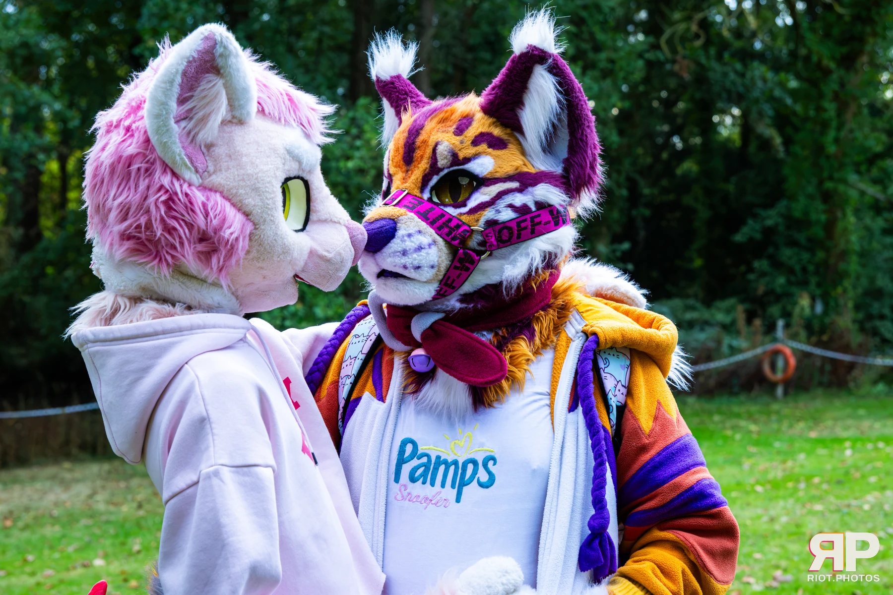 Ryker - furry & pup photography by Fluffy Riot - photo 32