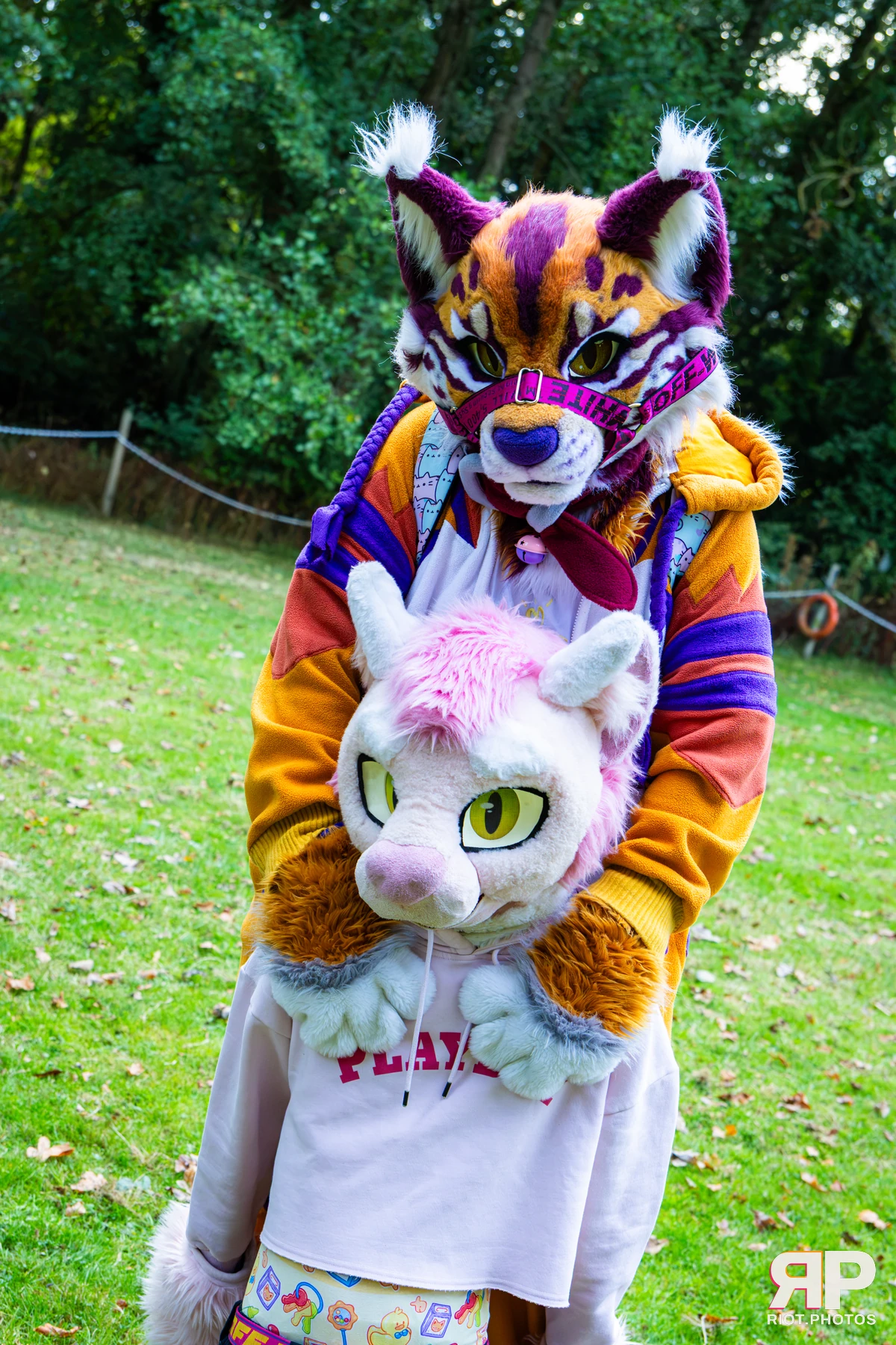 Ryker - furry & pup photography by Fluffy Riot - photo 30