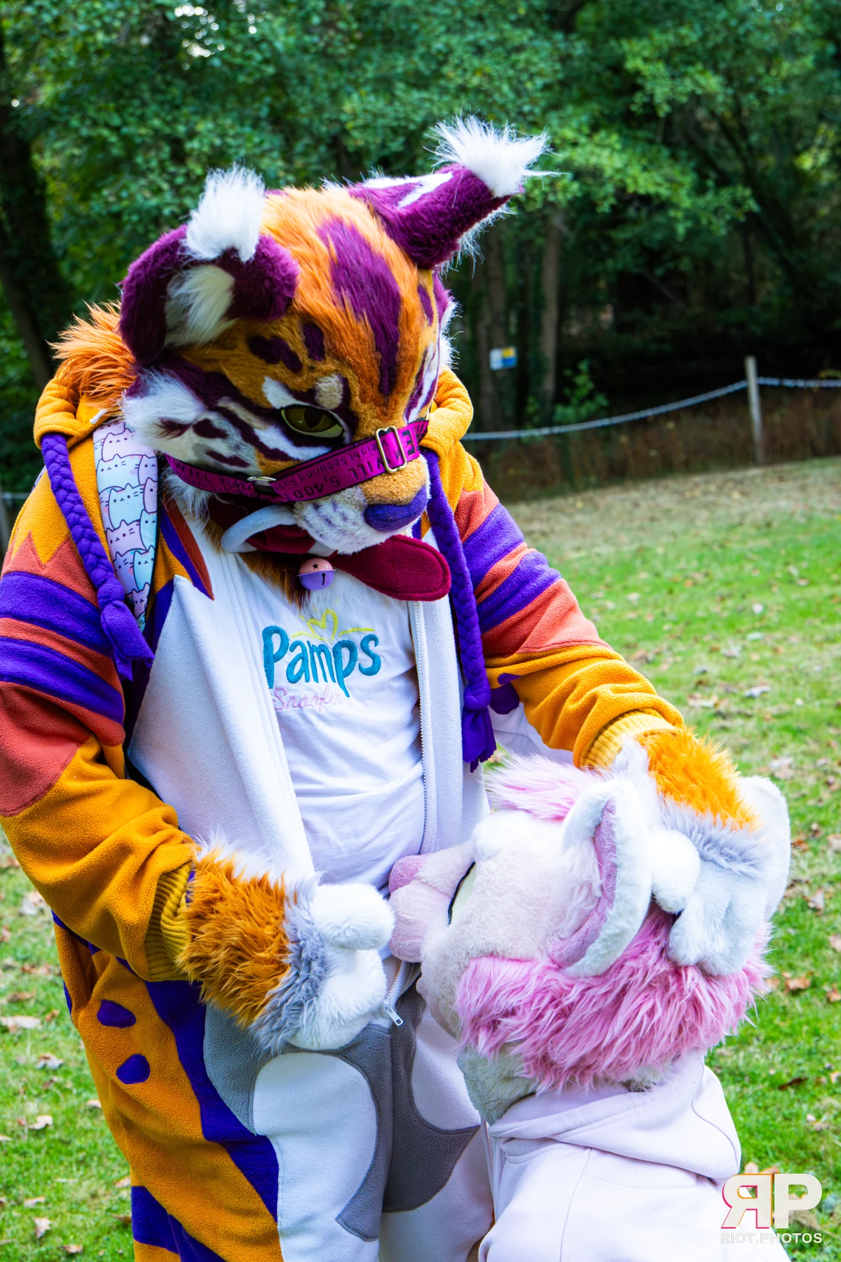Ryker - furry & pup photography by Fluffy Riot - photo 29