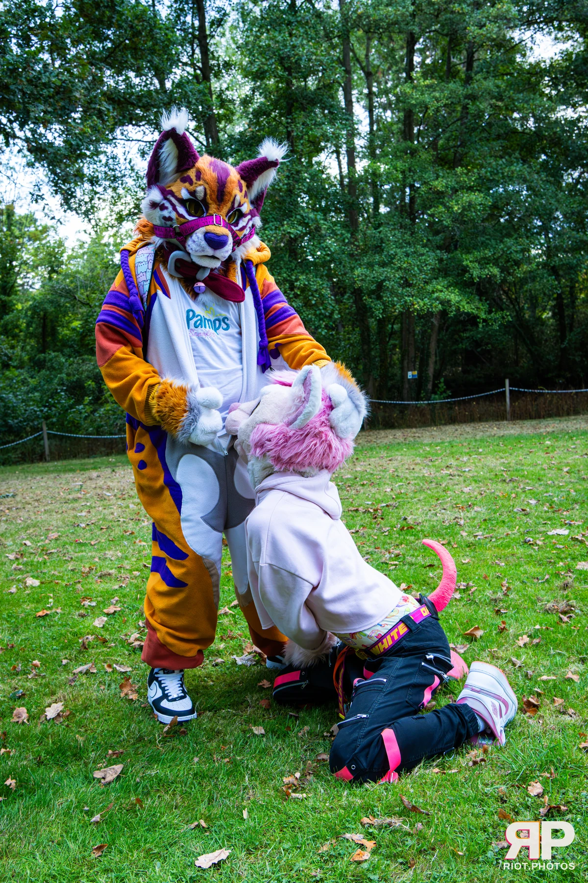 Ryker - furry & pup photography by Fluffy Riot - photo 28