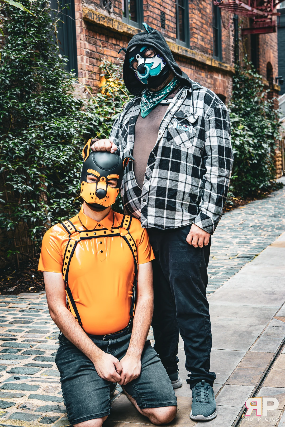 Apollo - furry & pup photography by Fluffy Riot - photo 35