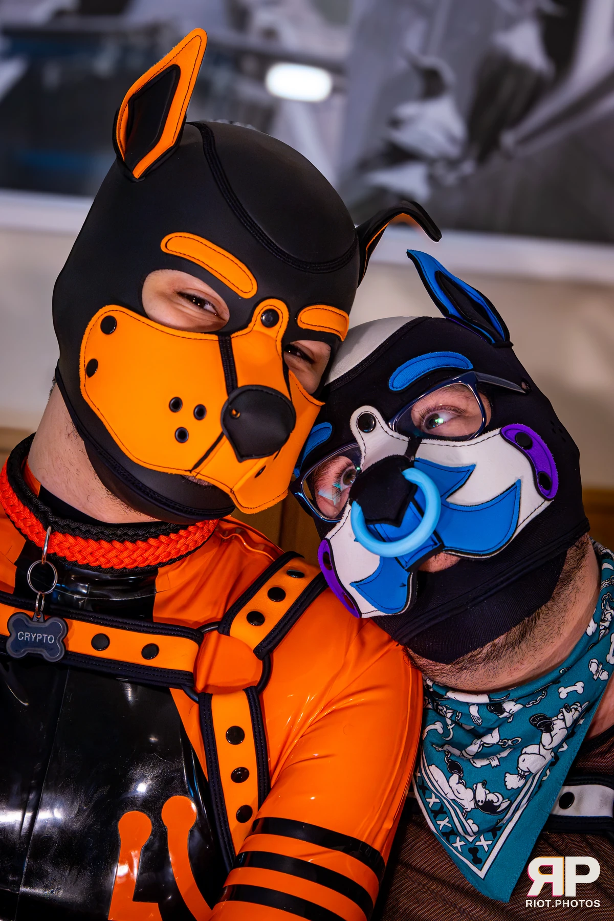 Apollo - furry & pup photography by Fluffy Riot - photo 49