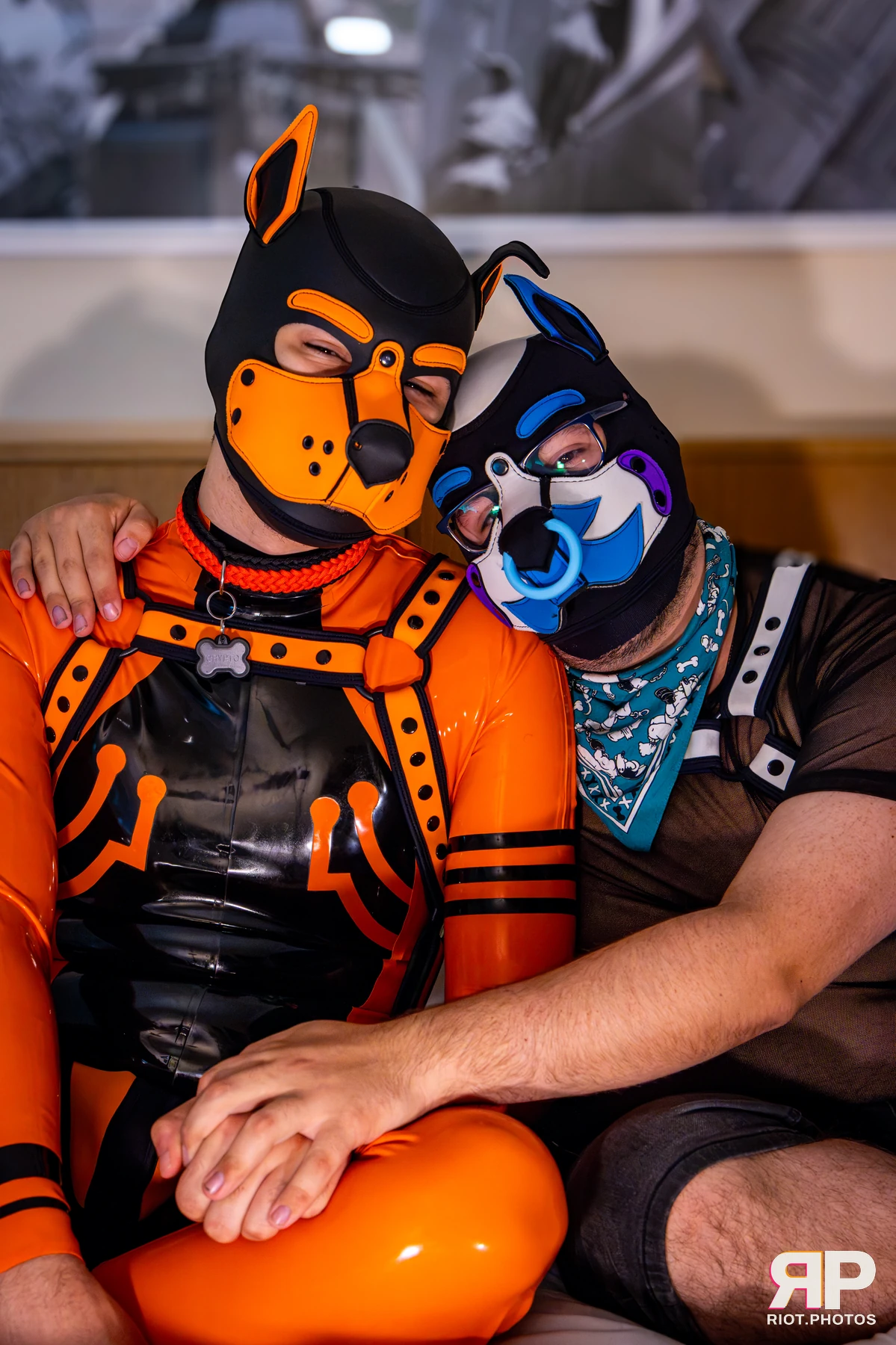 Apollo - furry & pup photography by Fluffy Riot - photo 48