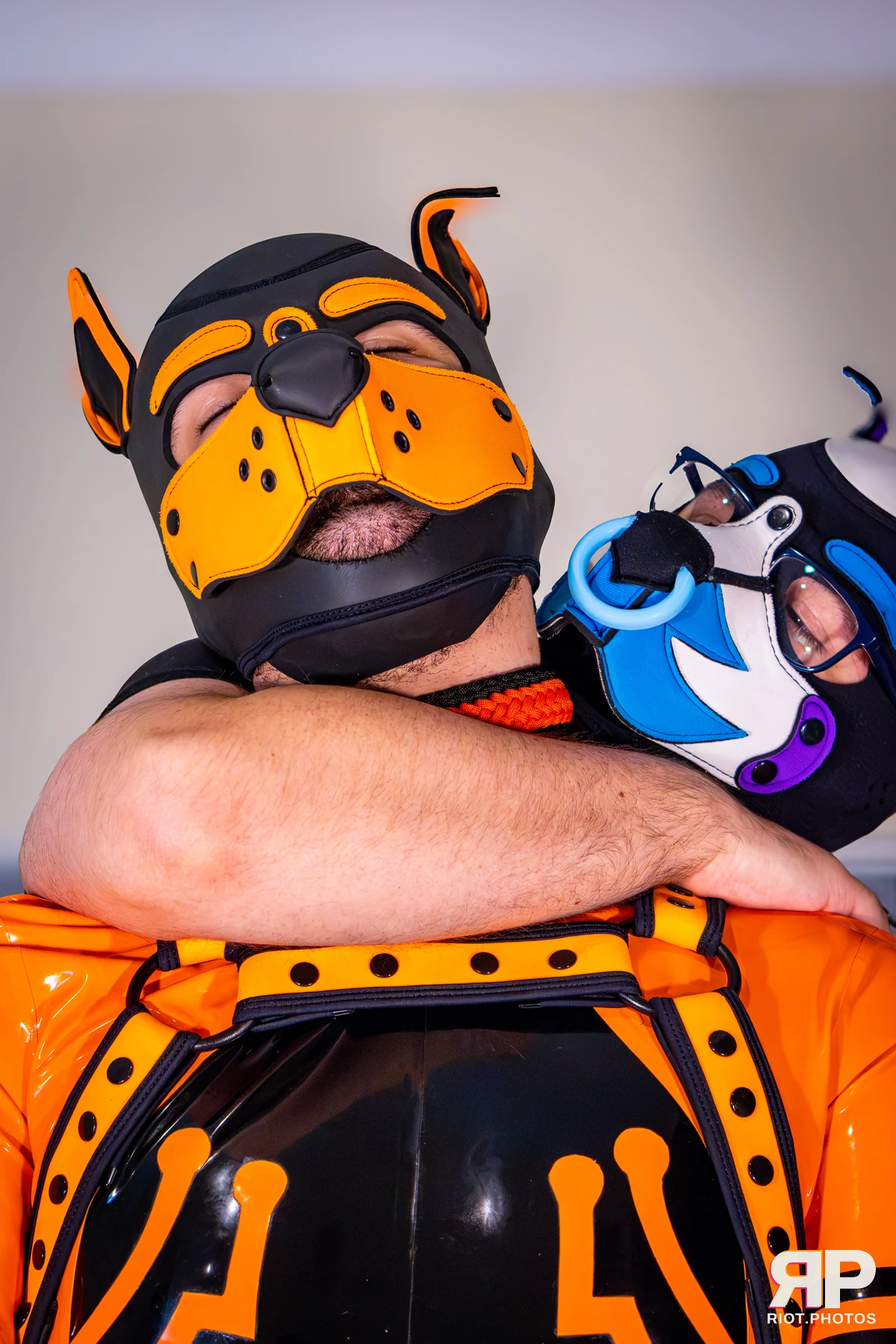 Apollo - furry & pup photography by Fluffy Riot - photo 45